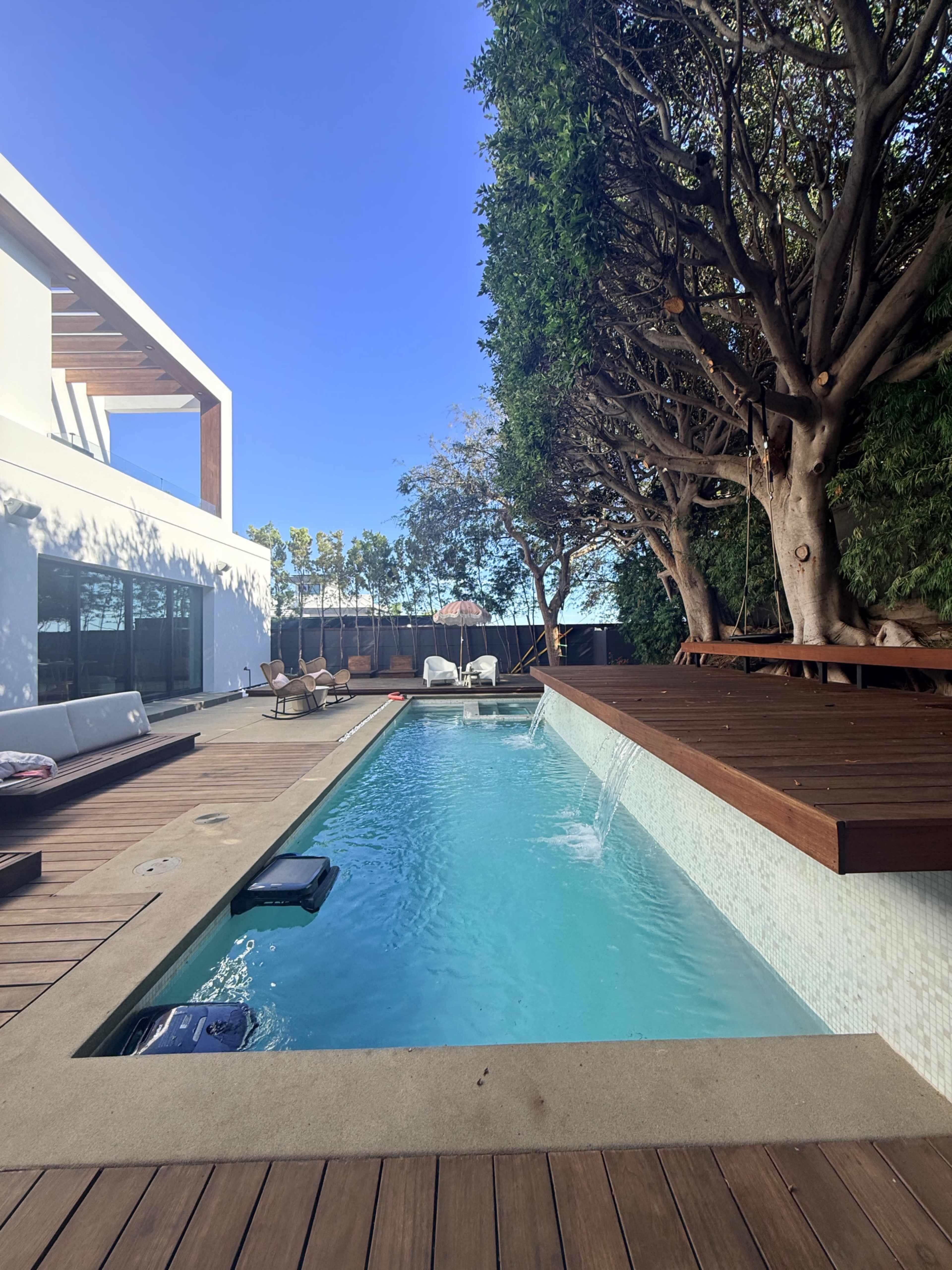 The image shows a modern pool surrounded by wooden decking, with lounge chairs and a large tree nearby.
