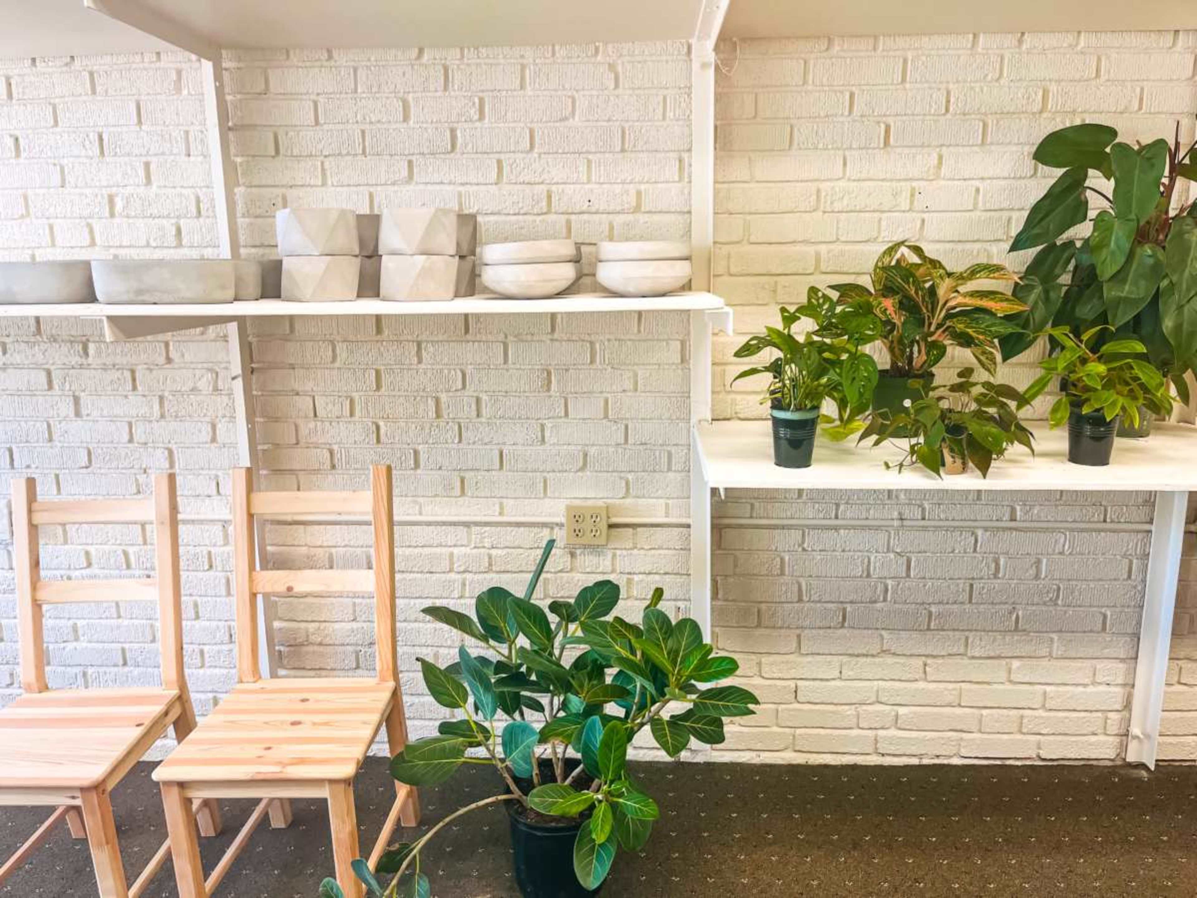 Downtown Plant and Floral Studio Image in Hendersonville, Hendersonville, NC