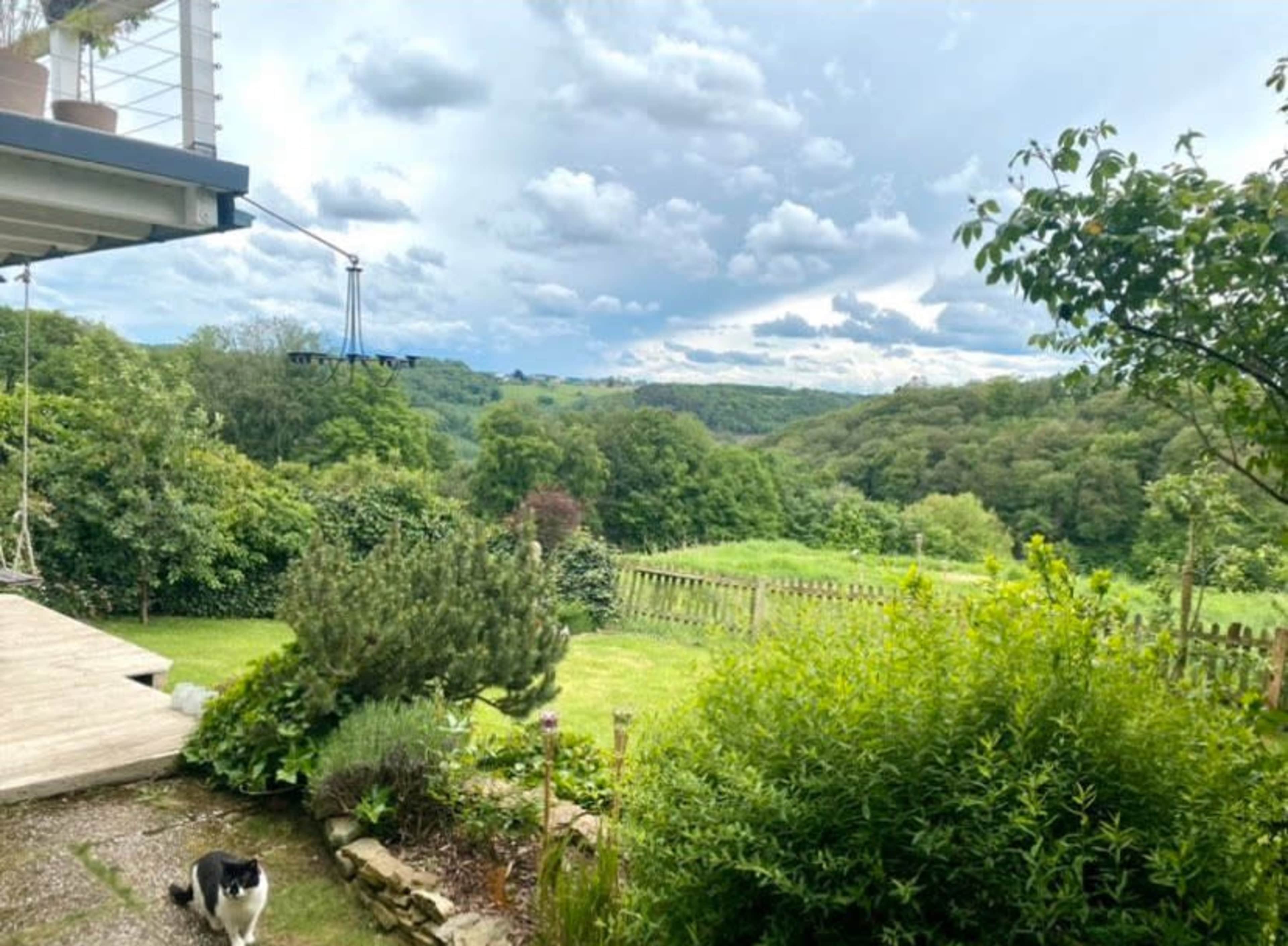 A cat walks along a stone path in a garden that overlooks green hills and a cloudy sky.