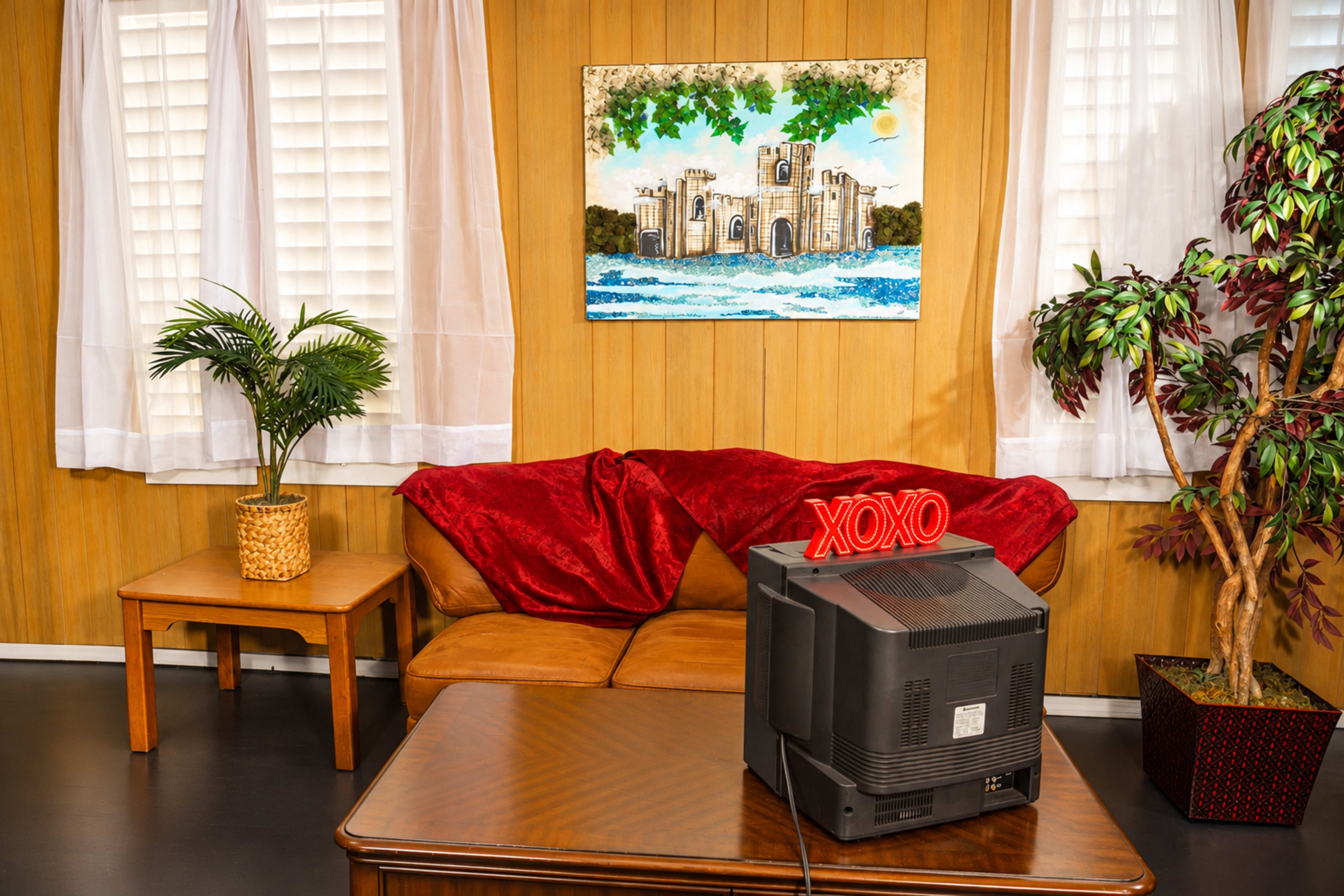 The image shows a living room scene with a brown couch, a wooden table, a television facing away from the viewer, and decorative plants beside a wall with a painting of a castle.