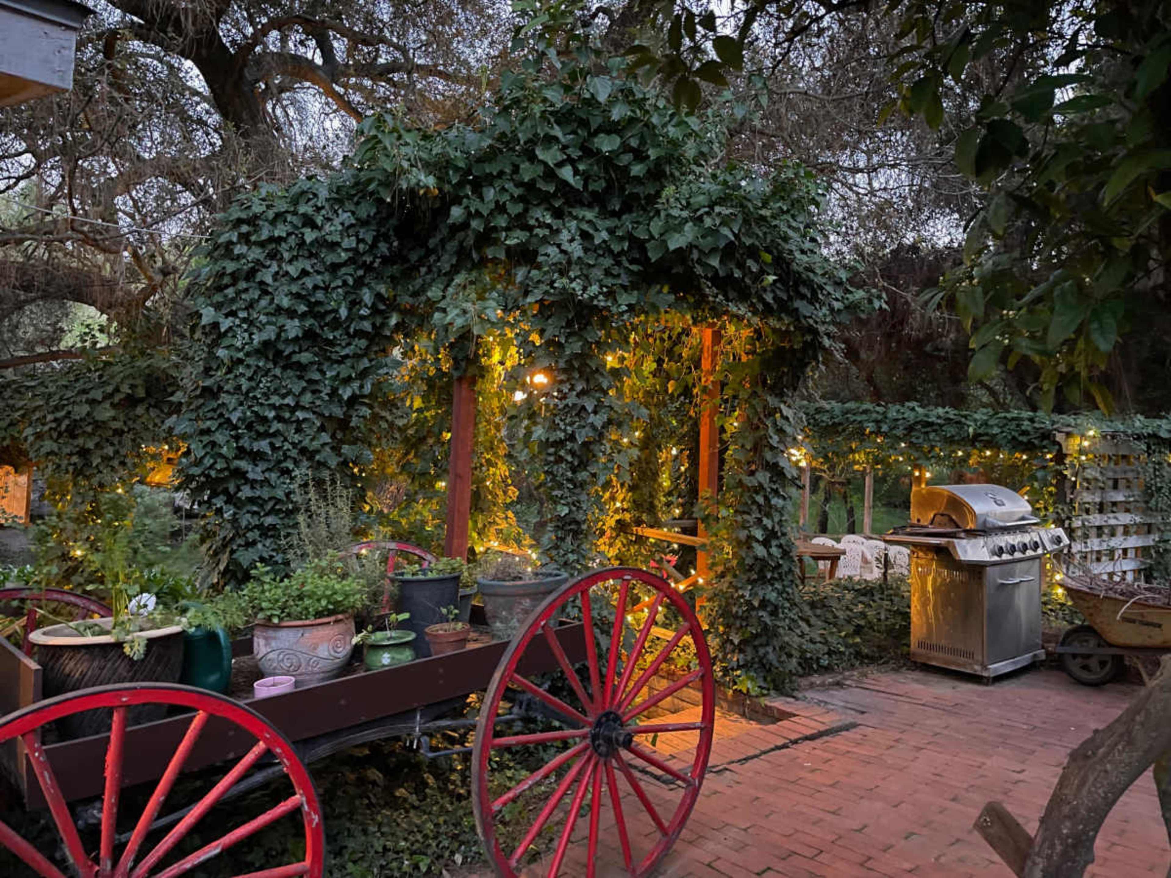 A red wooden cart covered in green ivy sits in a garden illuminated by soft lights, with potted plants arranged around it and a grill in the background.