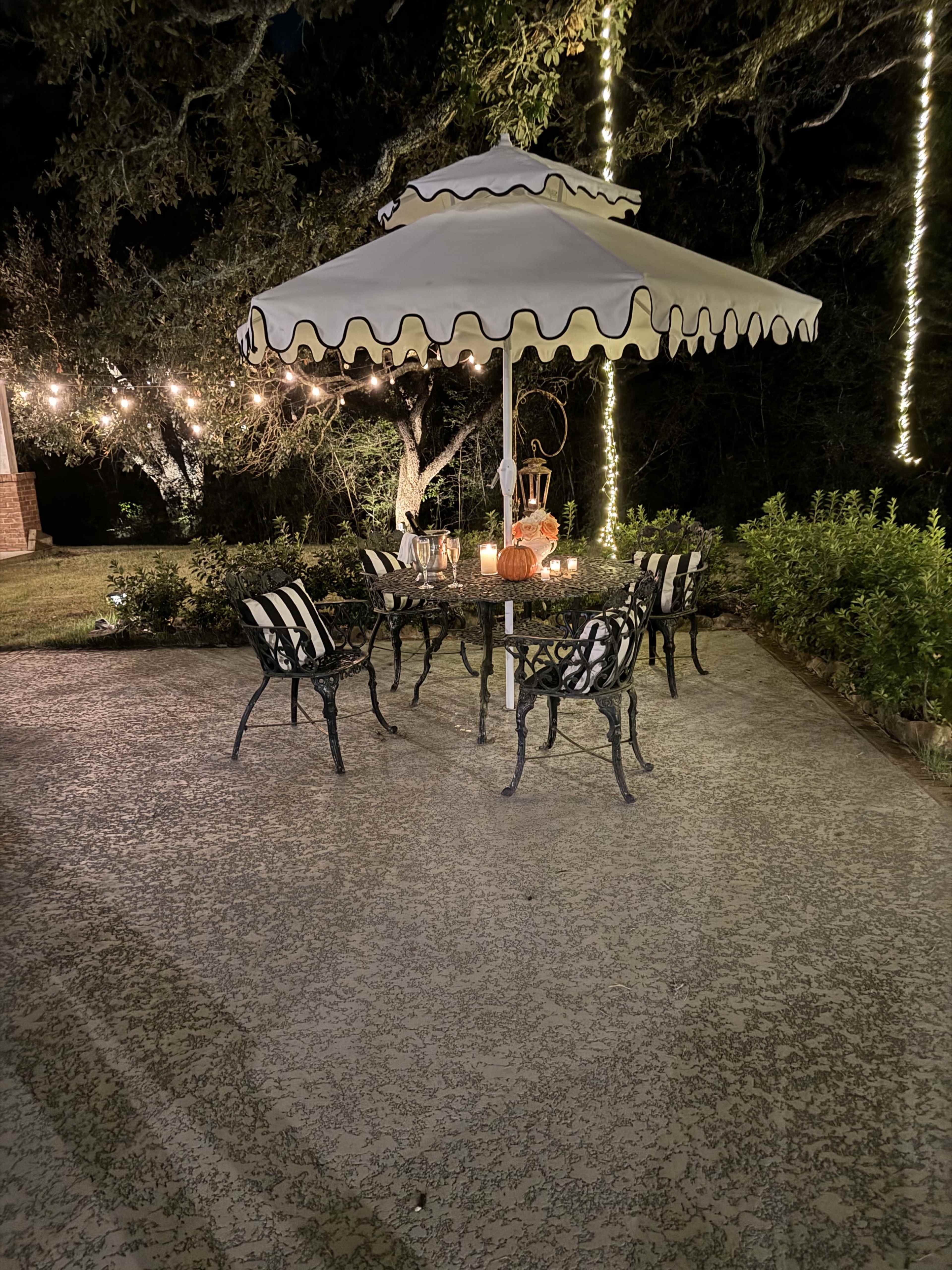 Split Oak Estate- Large live Oaks with several areas for photography Image in , Cat Spring, TX