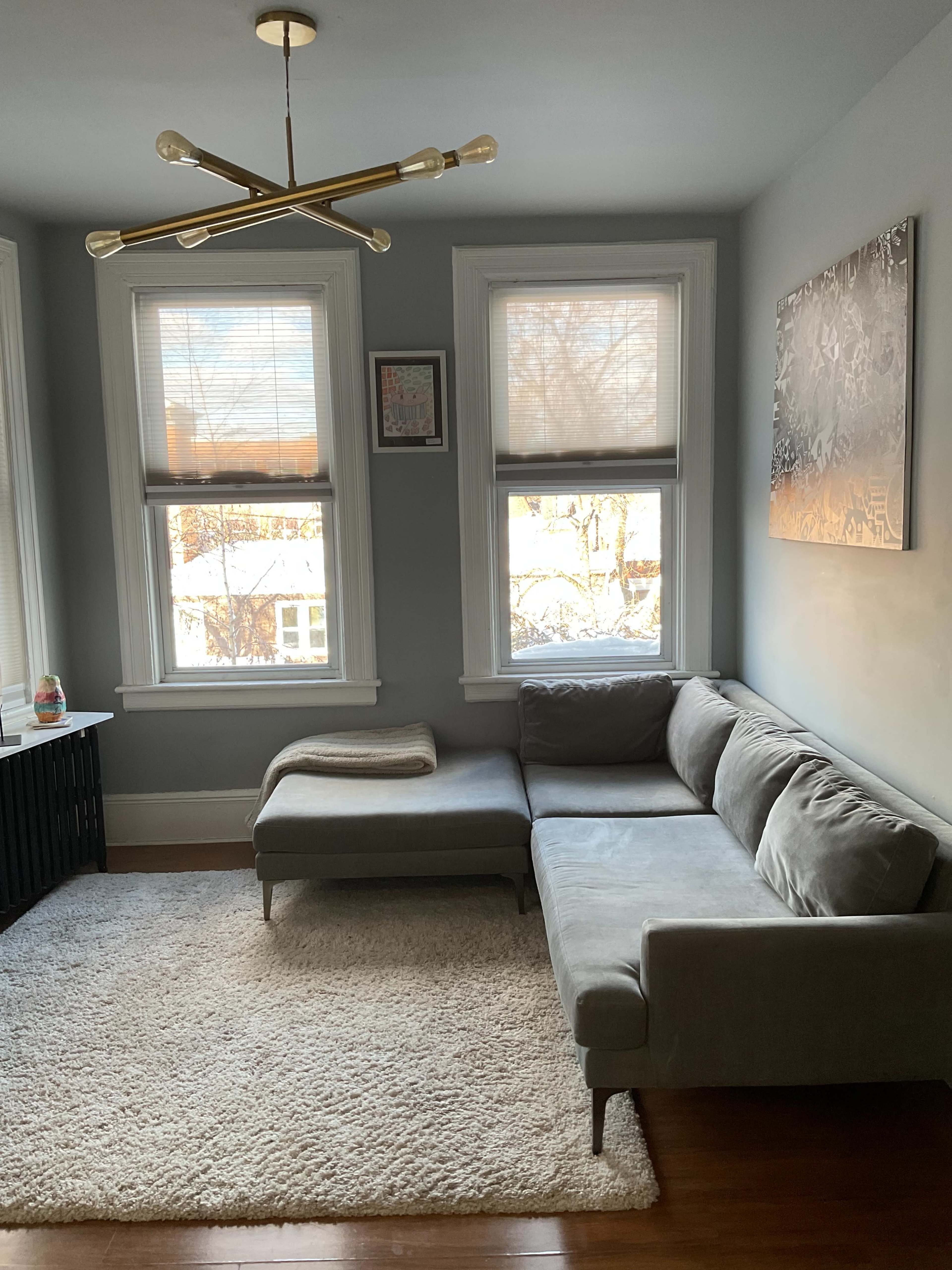 The image shows a cozy living room featuring a grey sectional sofa, a large area rug, and two windows with blinds, allowing natural light to illuminate the space.