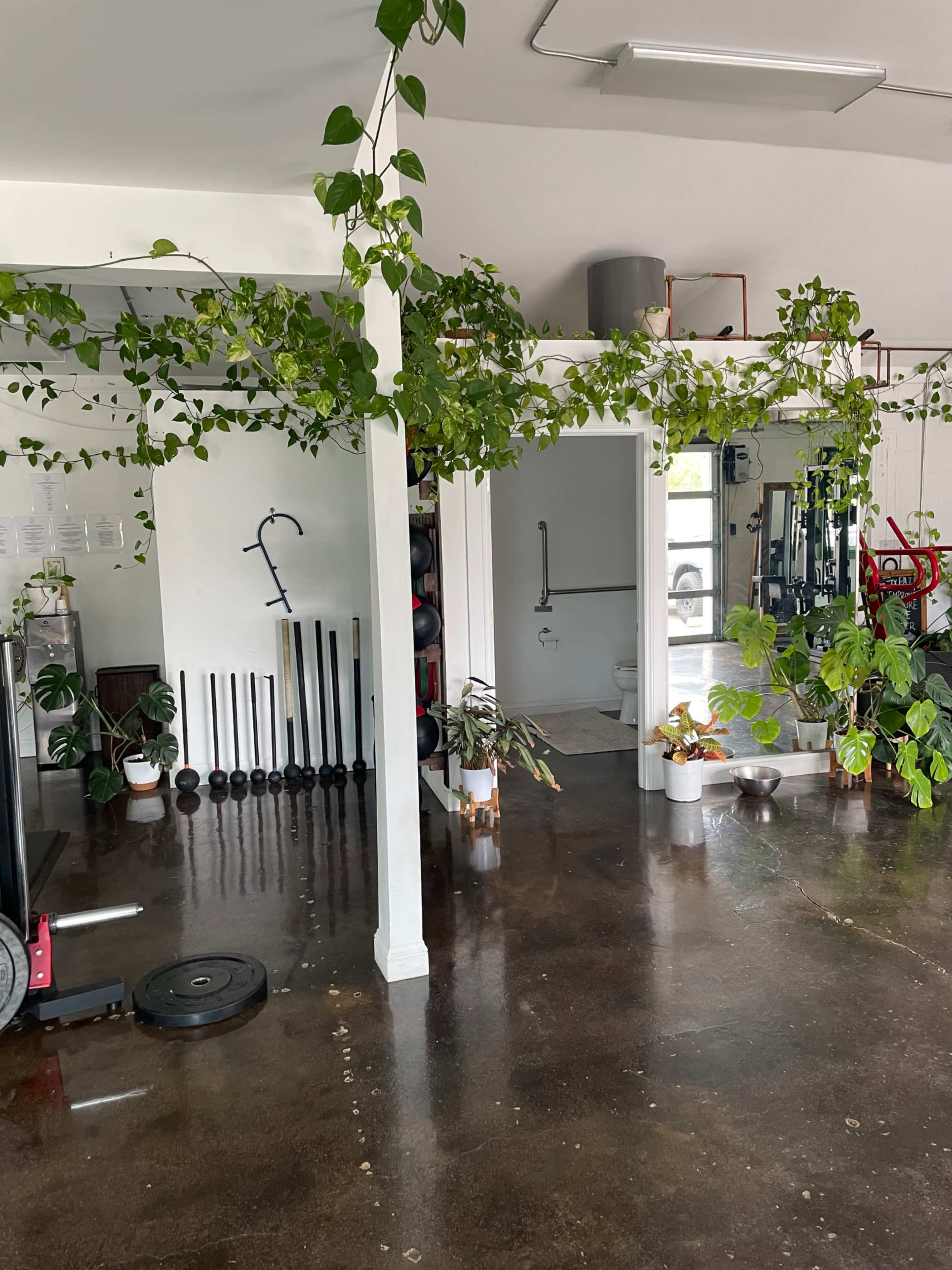 The image shows a home gym with equipment, plants hanging from the ceiling, and a clean, open layout.