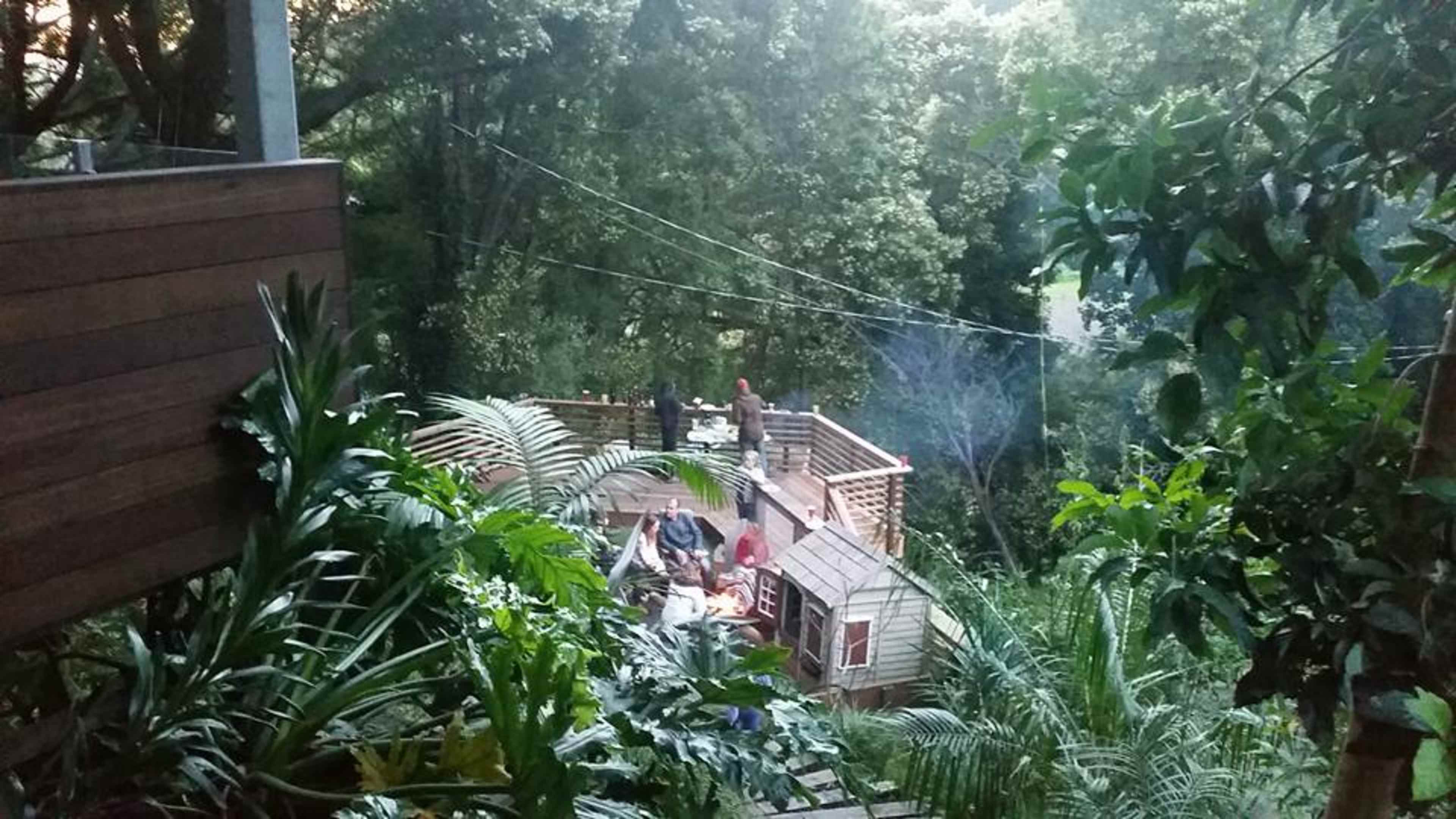 A wooden deck is set among lush greenery, with people gathered around, presumably enjoying an outdoor gathering or barbecue.