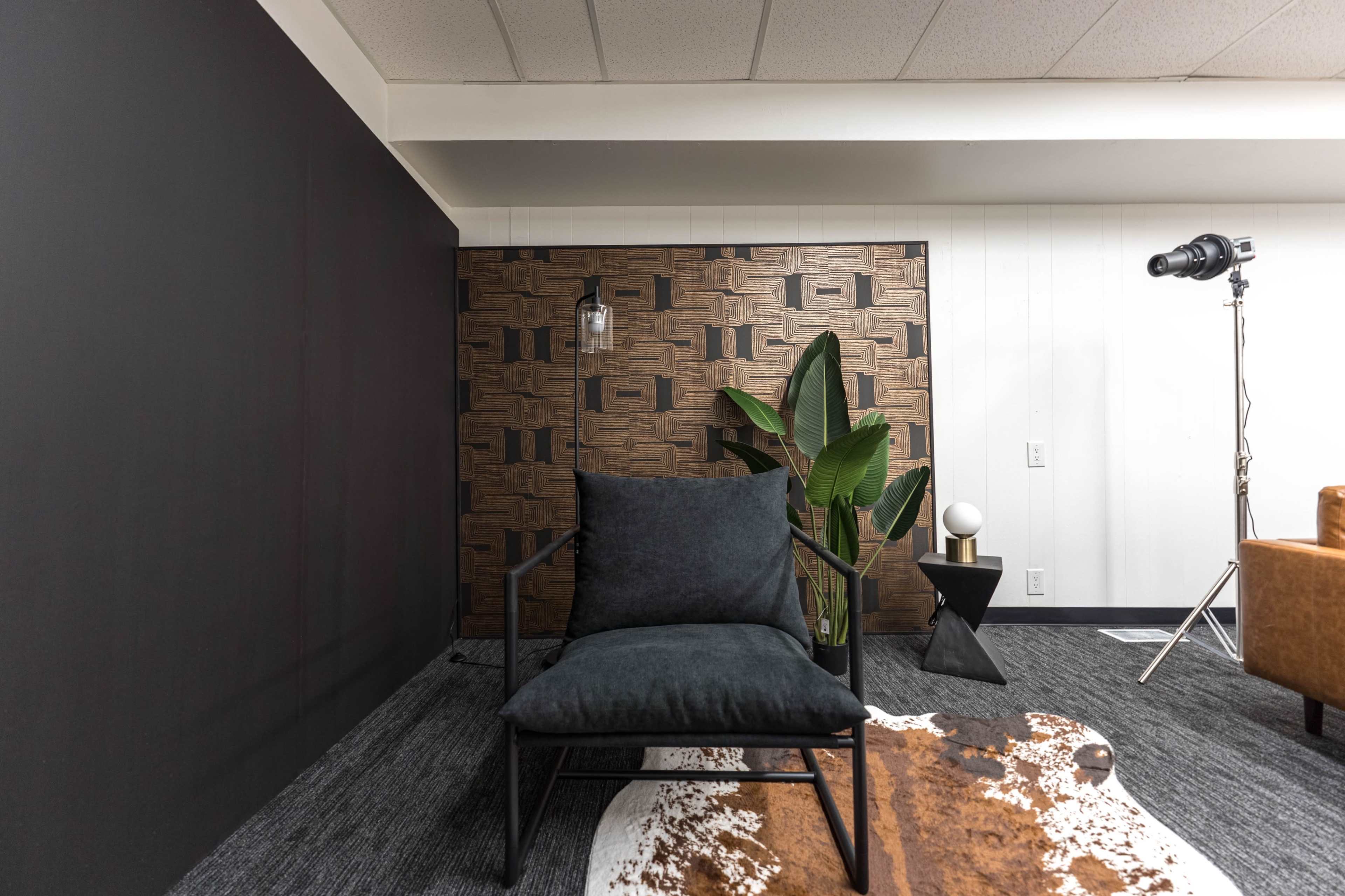 A darkly furnished room features a modern chair, a potted plant, a textured wall, and a spotlight on a tripod.