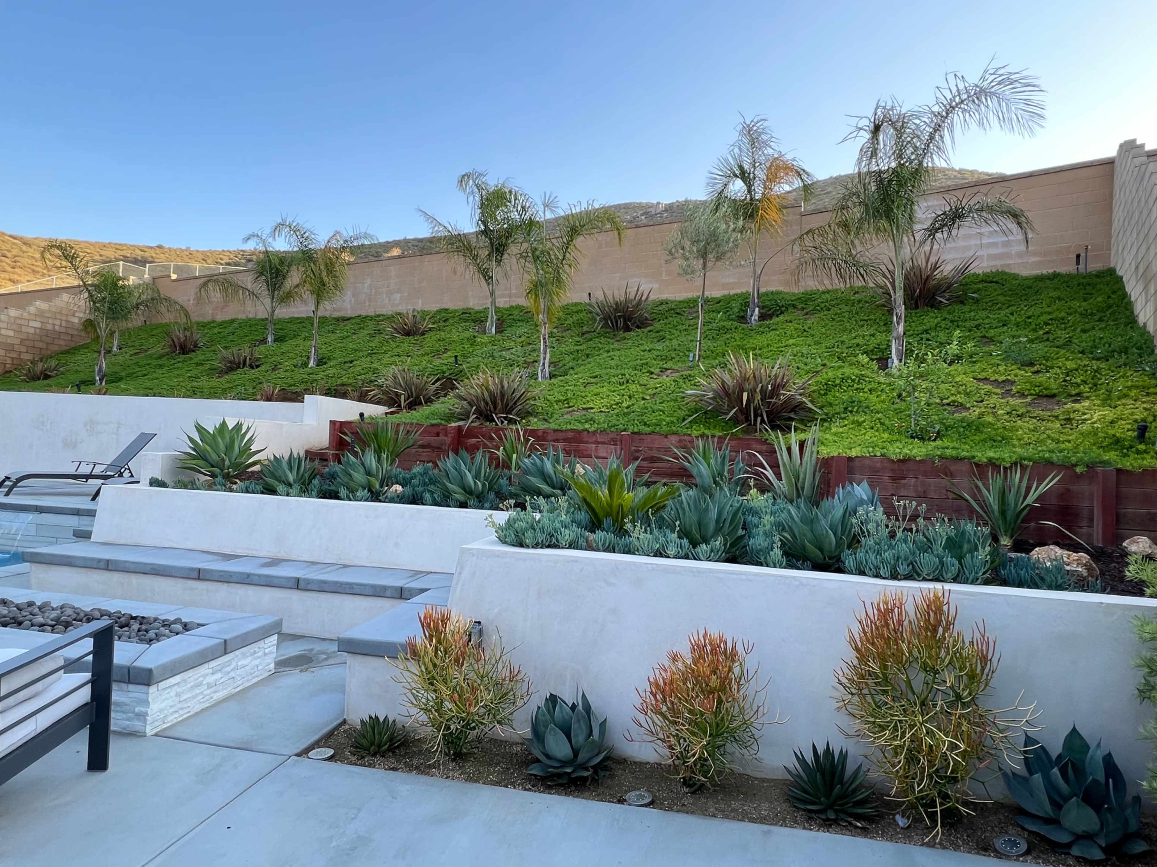 A landscaped outdoor area featuring several layers of green plants, including palm trees and succulents, alongside stone pathways and seating arrangements.