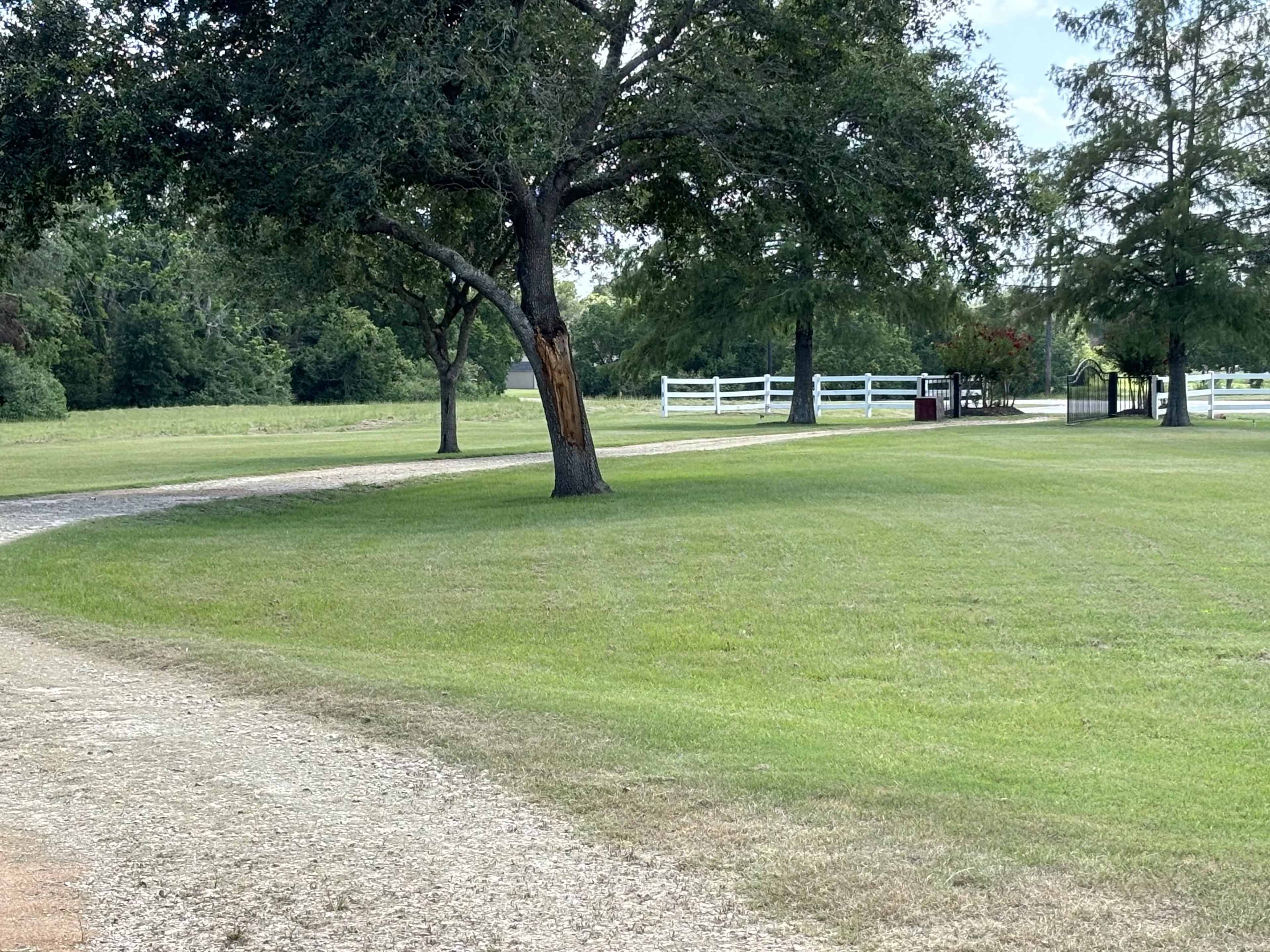A gravel path curves through a grassy area with several trees, leading to a white fence in the distance.