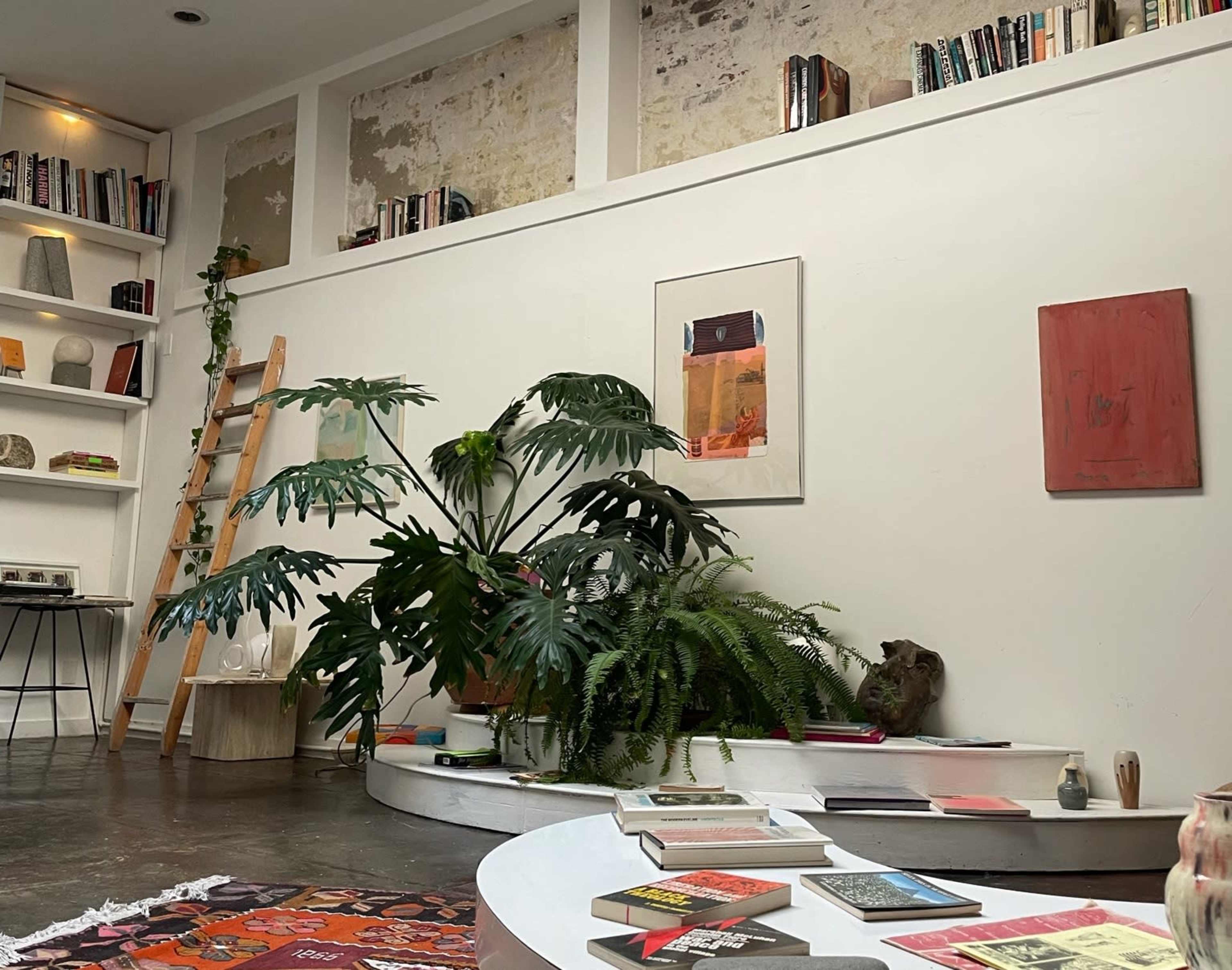 A cozy interior features a large plant near a low table covered with books, surrounded by a bookshelf and a ladder against the wall.