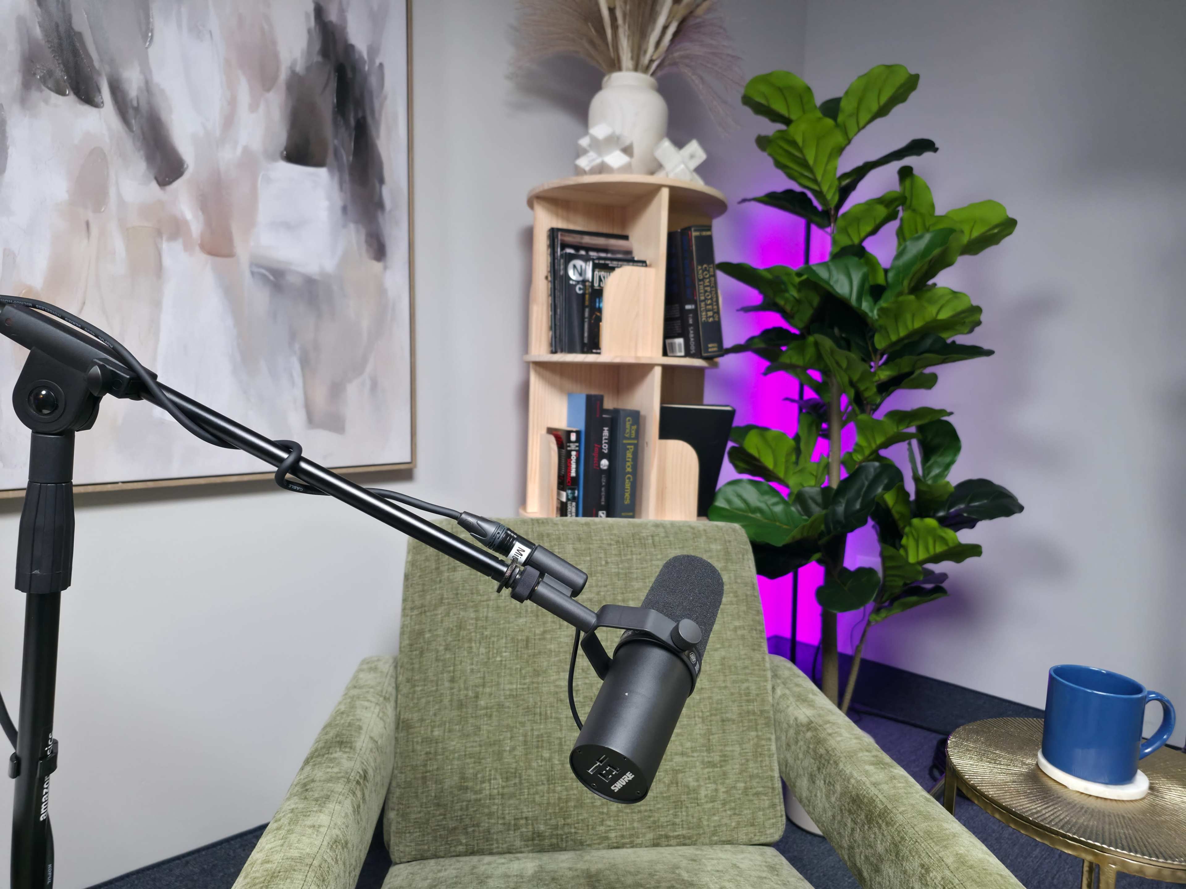 The image shows a green chair with a microphone on a stand in front of a bookshelf and a potted plant, set in a well-lit office space.