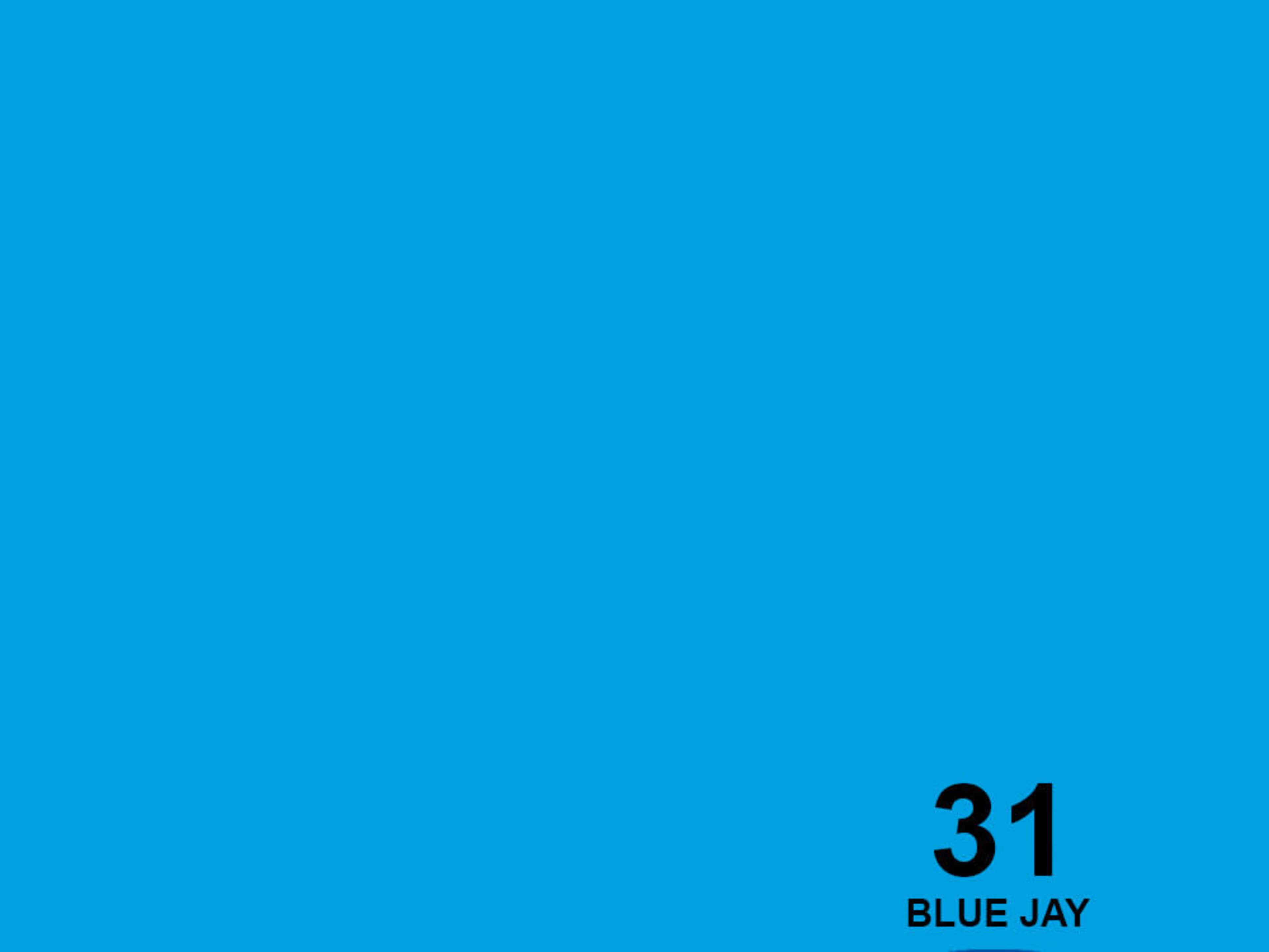 Seamless Paper ( Full Sweep ) Blue Jay