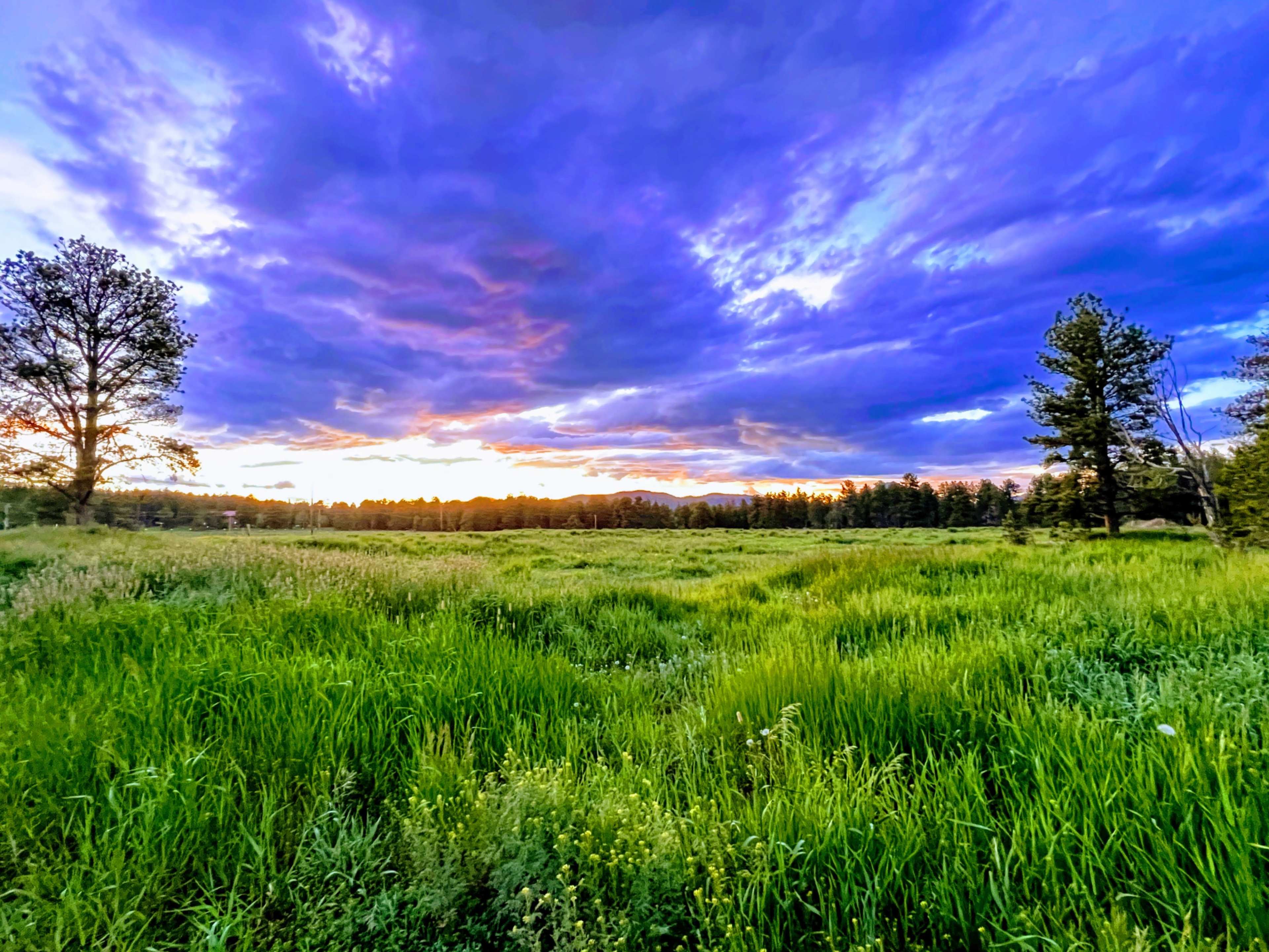 A vibrant green field stretches under a dramatic sky filled with colorful clouds during sunset.
