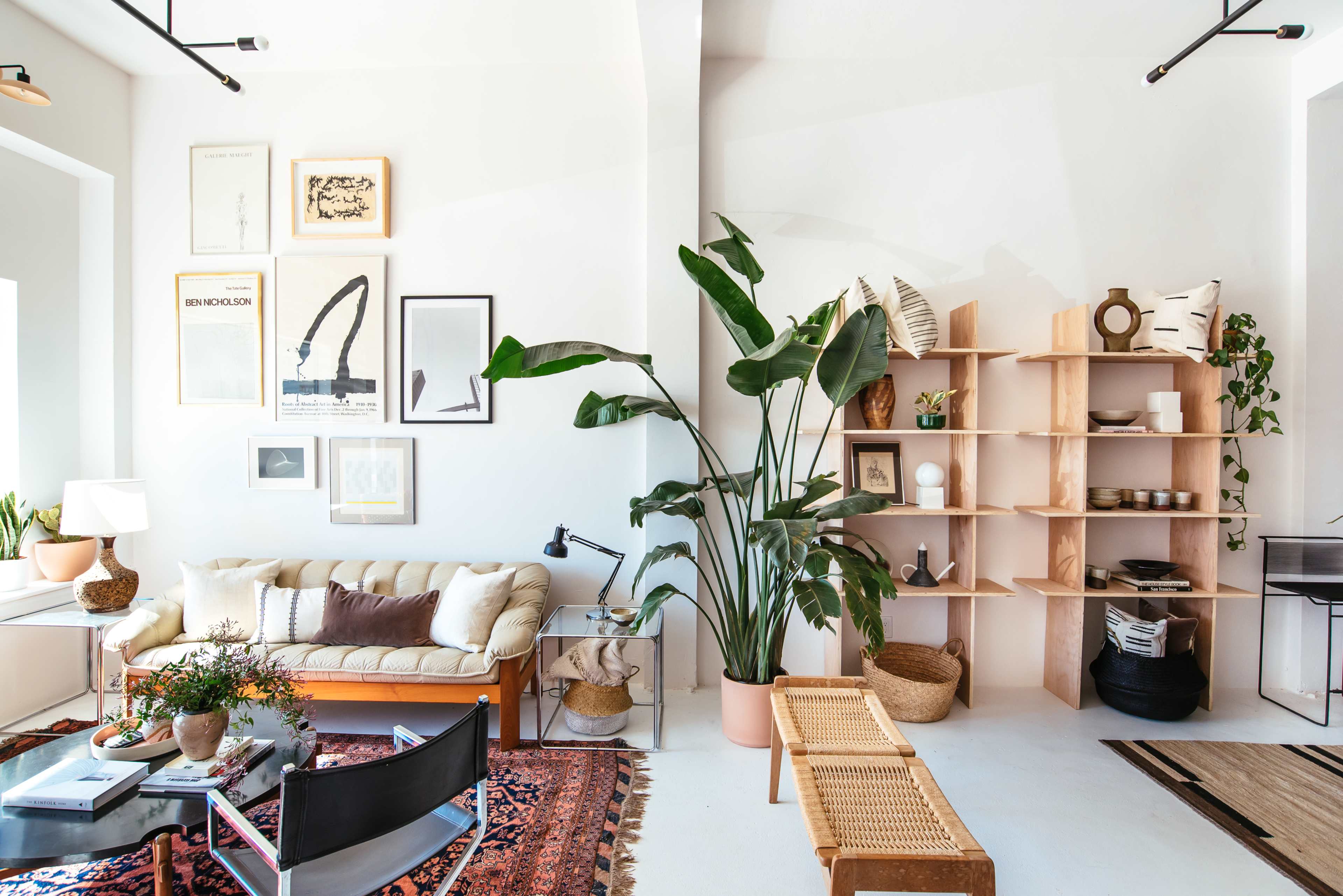 A stylish living room with a sofa, wall art, and a large indoor plant beside a wooden shelving unit filled with decorative items.