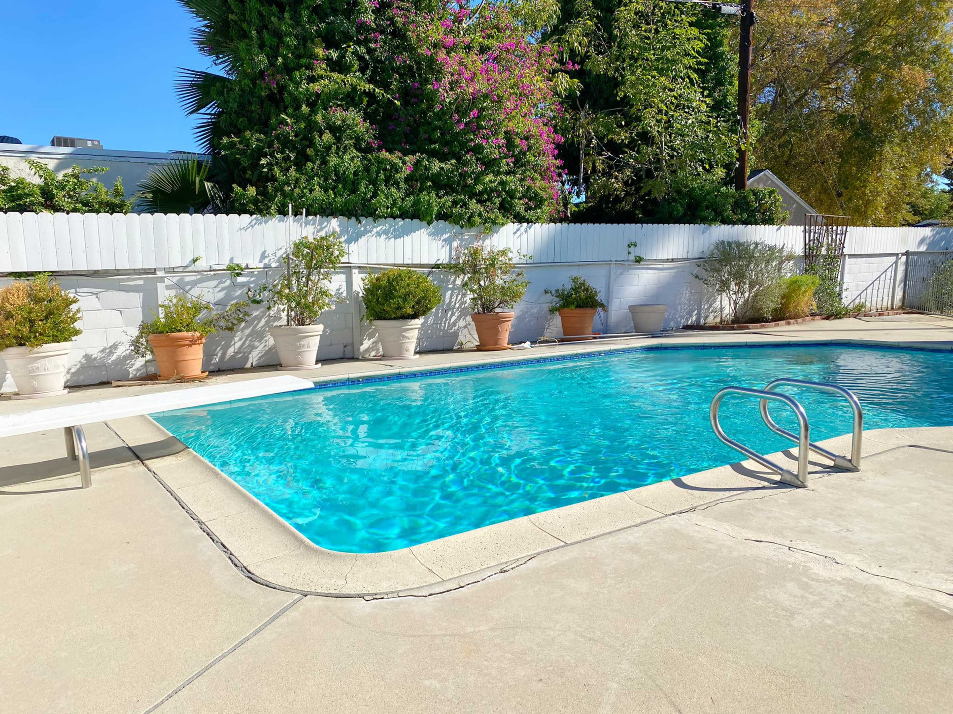 A rectangular swimming pool is surrounded by potted plants and a white wooden fence under a clear blue sky.