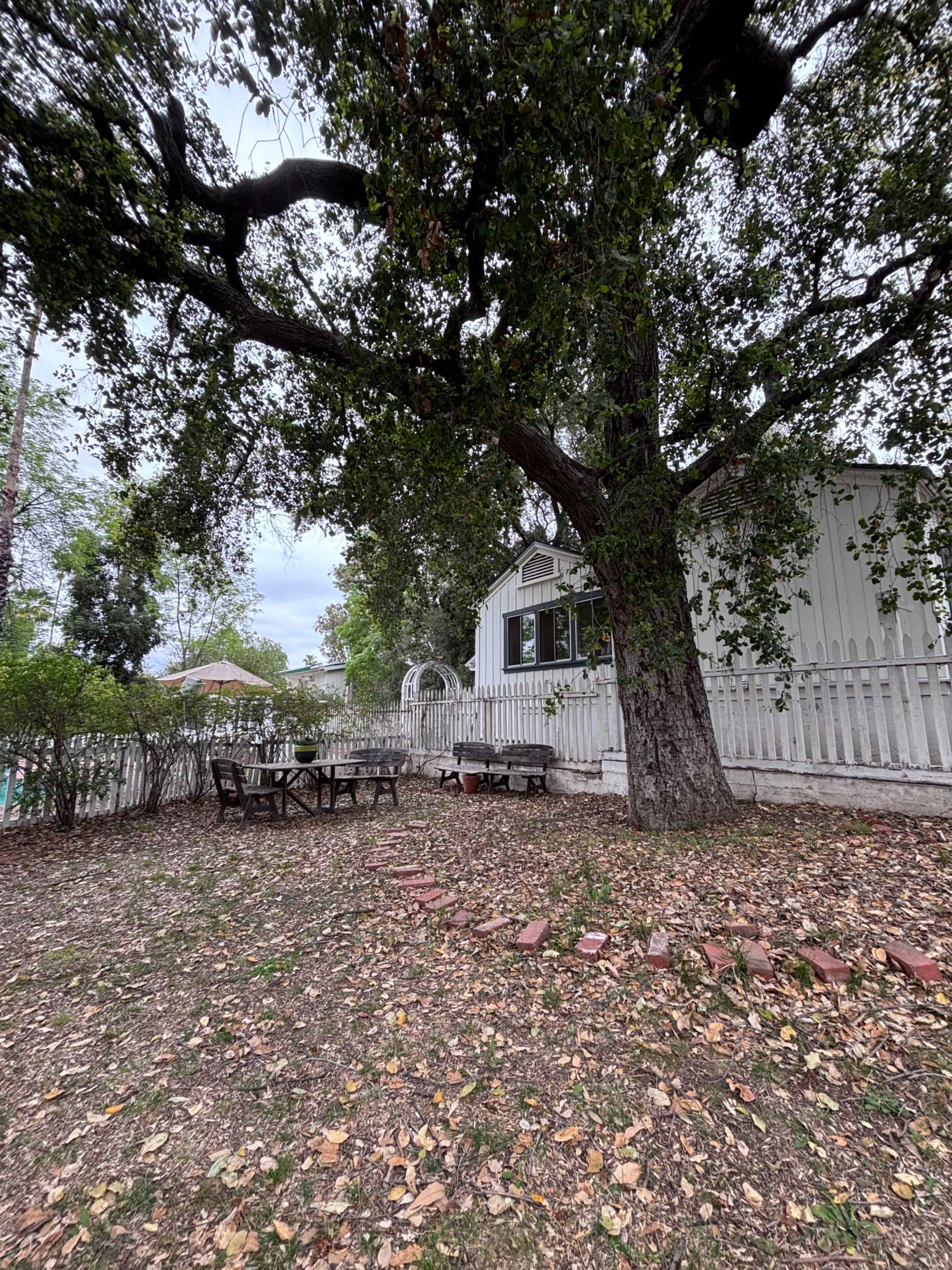 Tree-Filled Backyard of Historic Home Image in Tarzana, Woodland Hills, CA