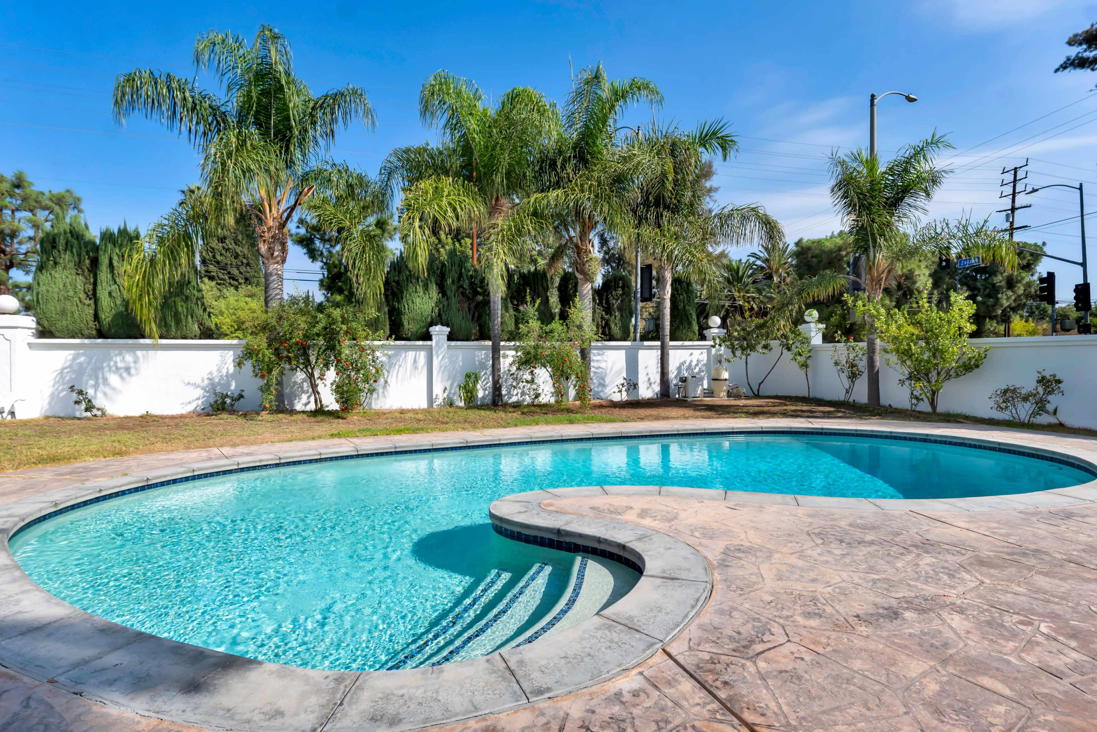 A curved swimming pool surrounded by palm trees and a white wall in a sunny outdoor setting.