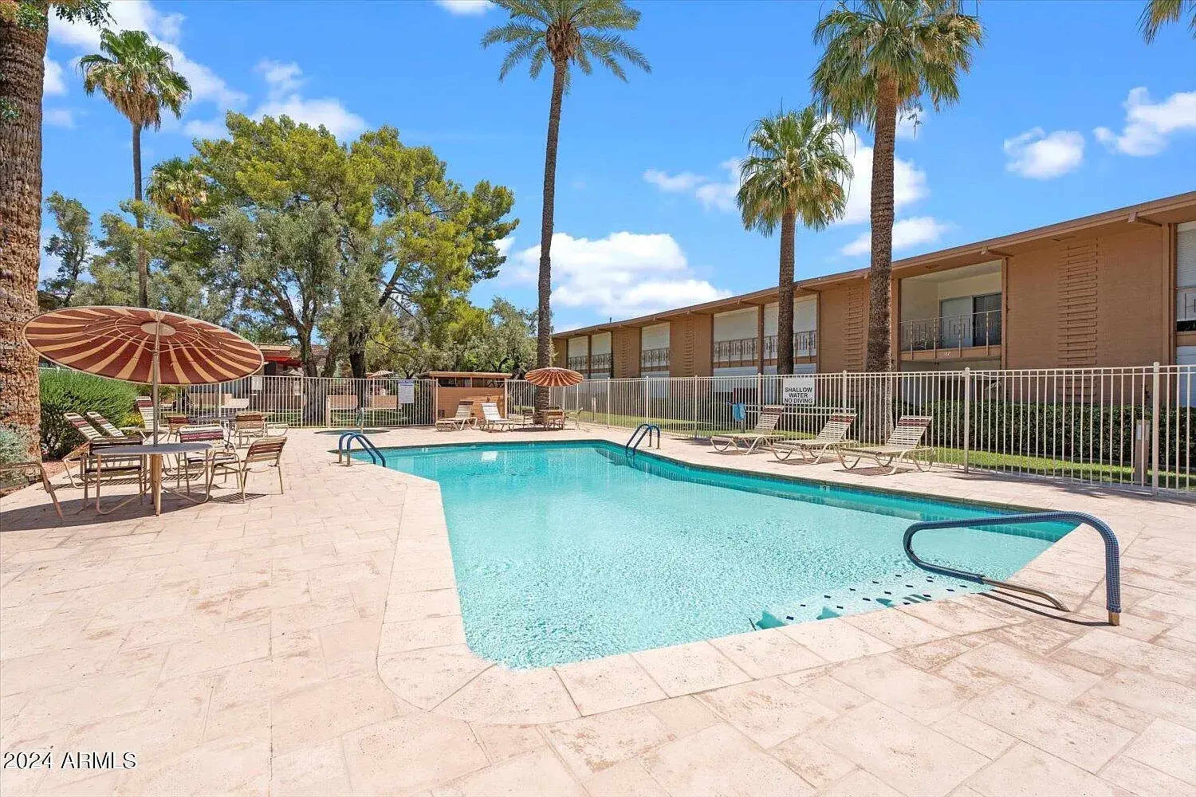 The image shows a swimming pool surrounded by palm trees, lounge chairs, and umbrellas, with an apartment building in the background.