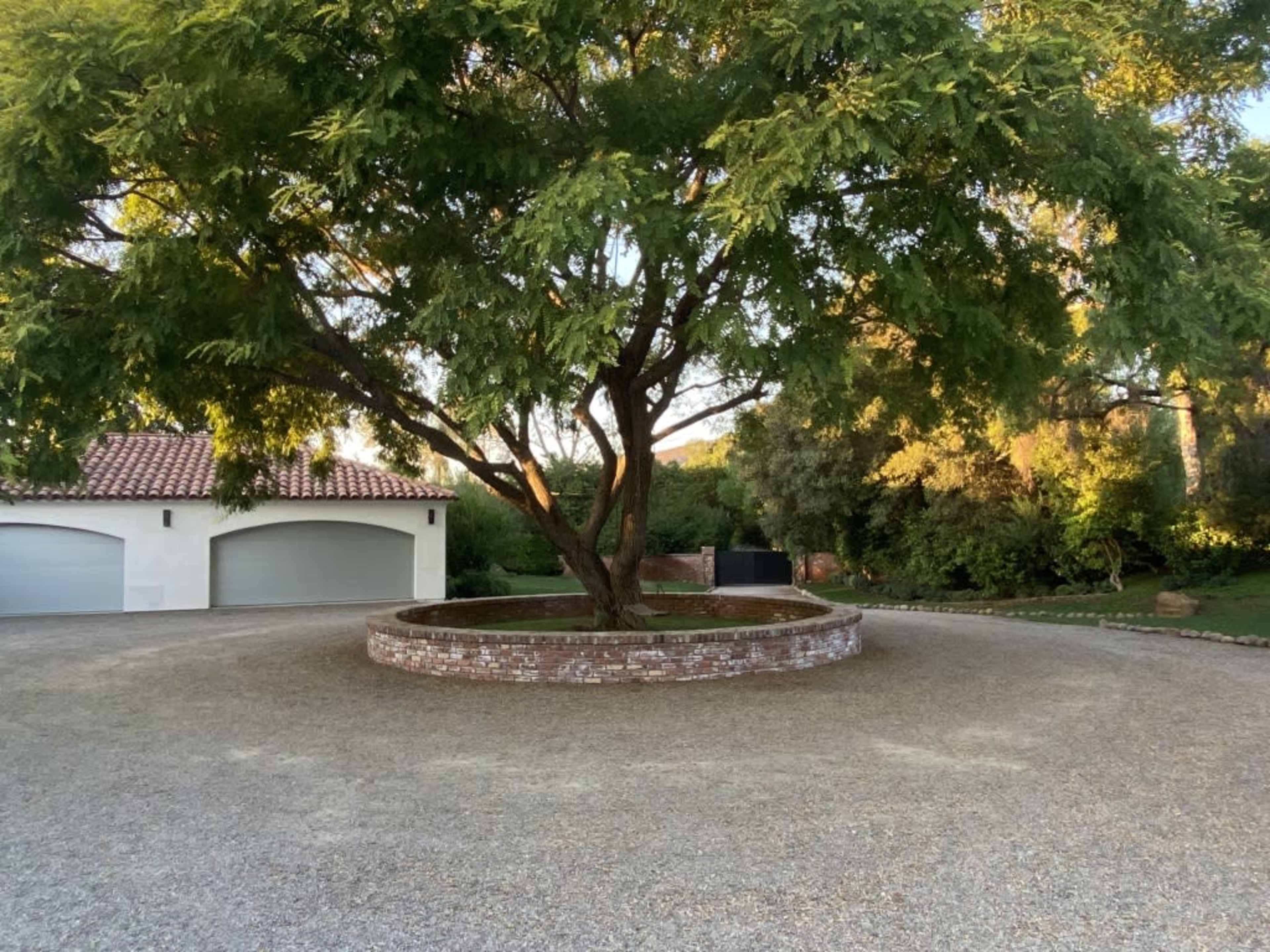 A large tree with a broad canopy stands in a circular bed of bricks within a gravel driveway, flanked by two garage doors and surrounded by lush greenery.