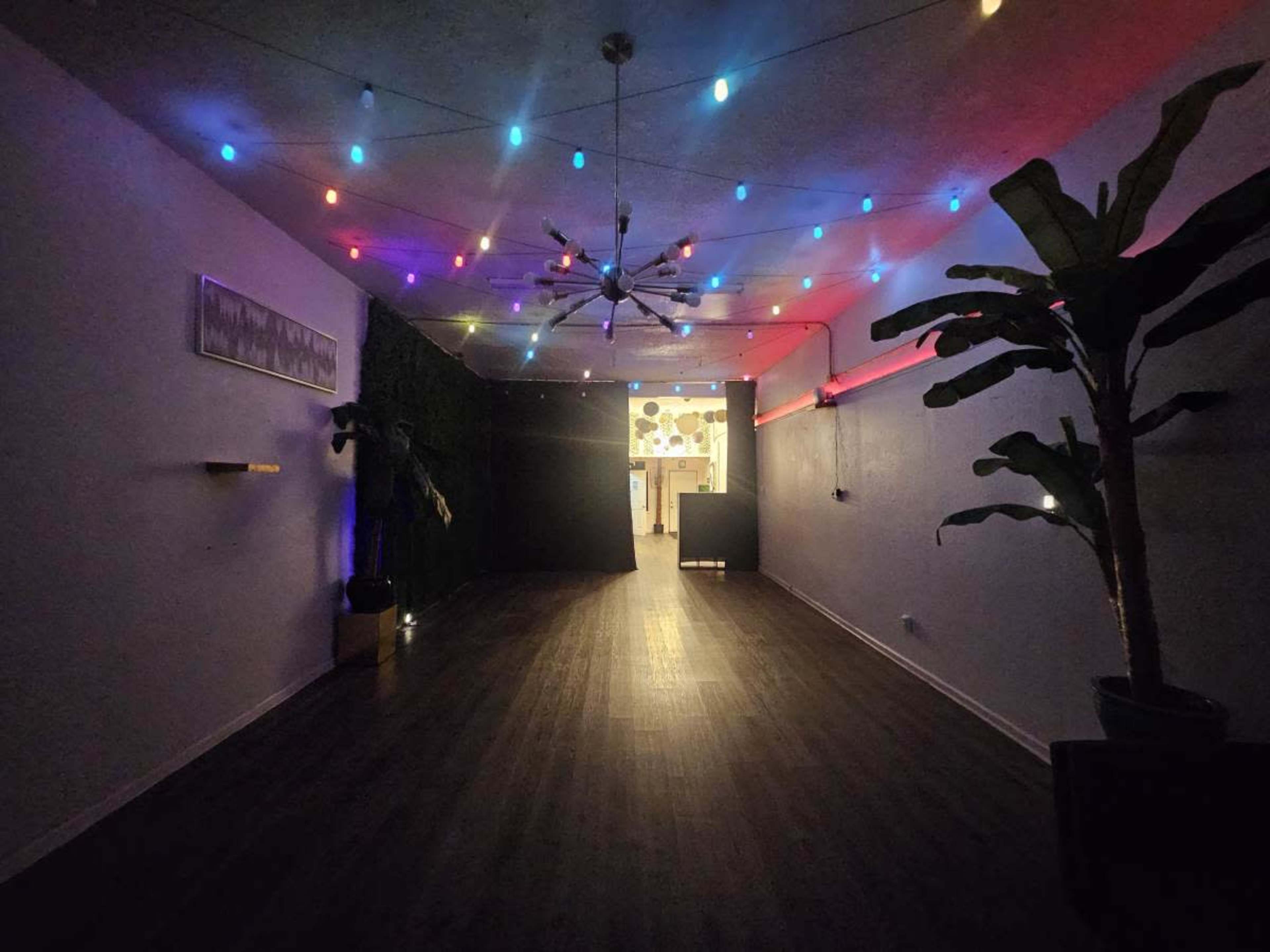 The image shows a spacious interior with colorful lights strung across the ceiling, a large plant in the corner, and a darkened area at the back.