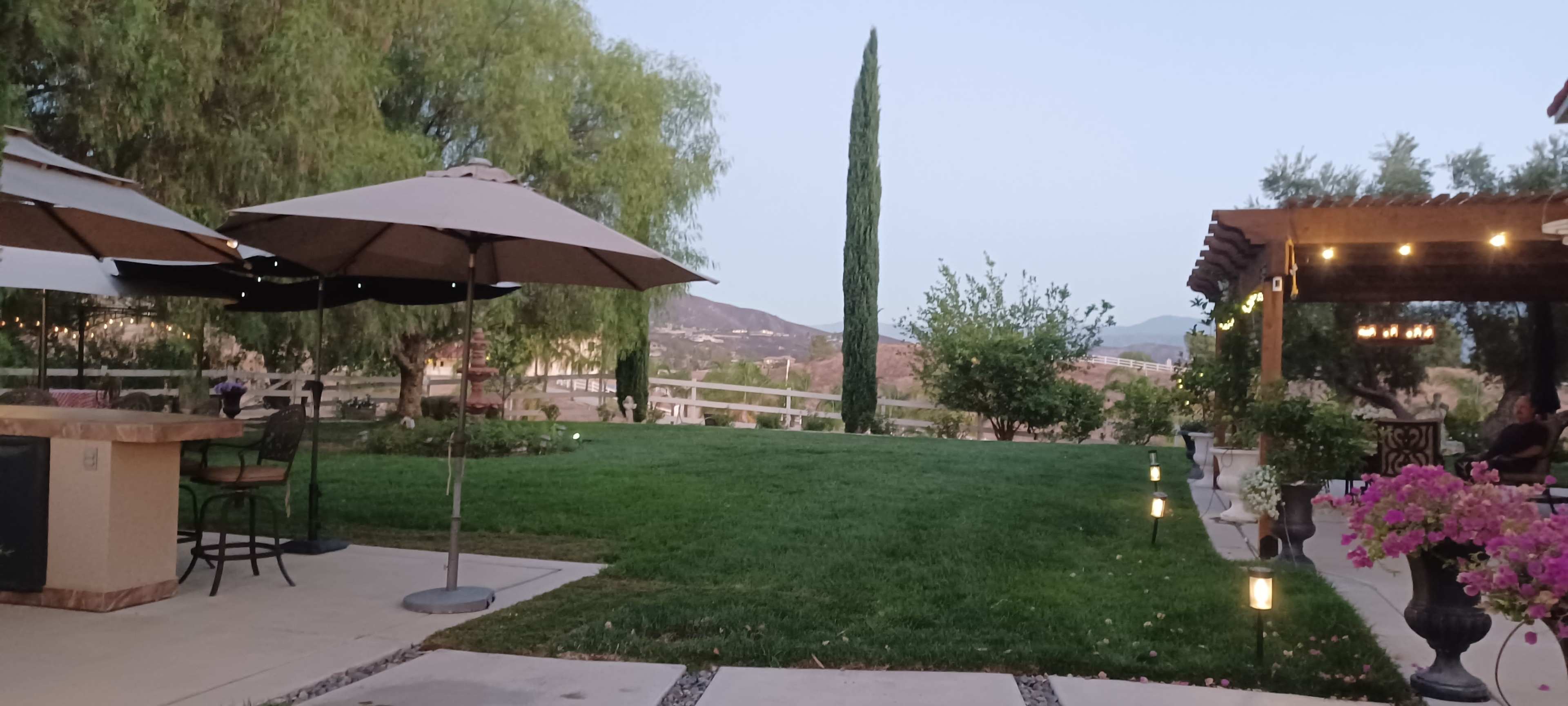 The image shows a landscaped outdoor area with a large umbrella, manicured grass, a tall cypress tree, and a nearby patio or deck featuring potted plants.
