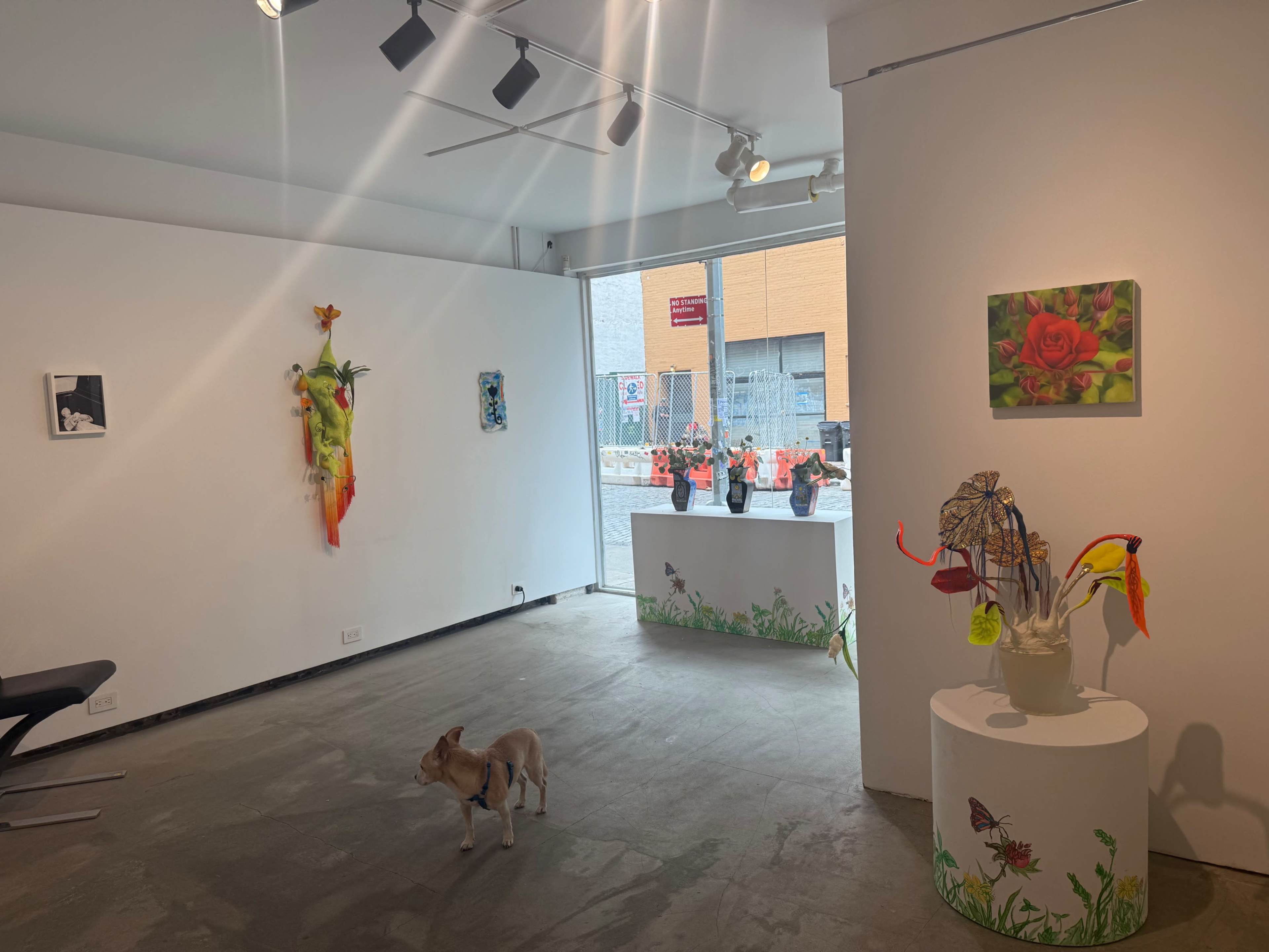Urban Gallery with Floor Length Storefront Window Image in Bowery, New York, NY