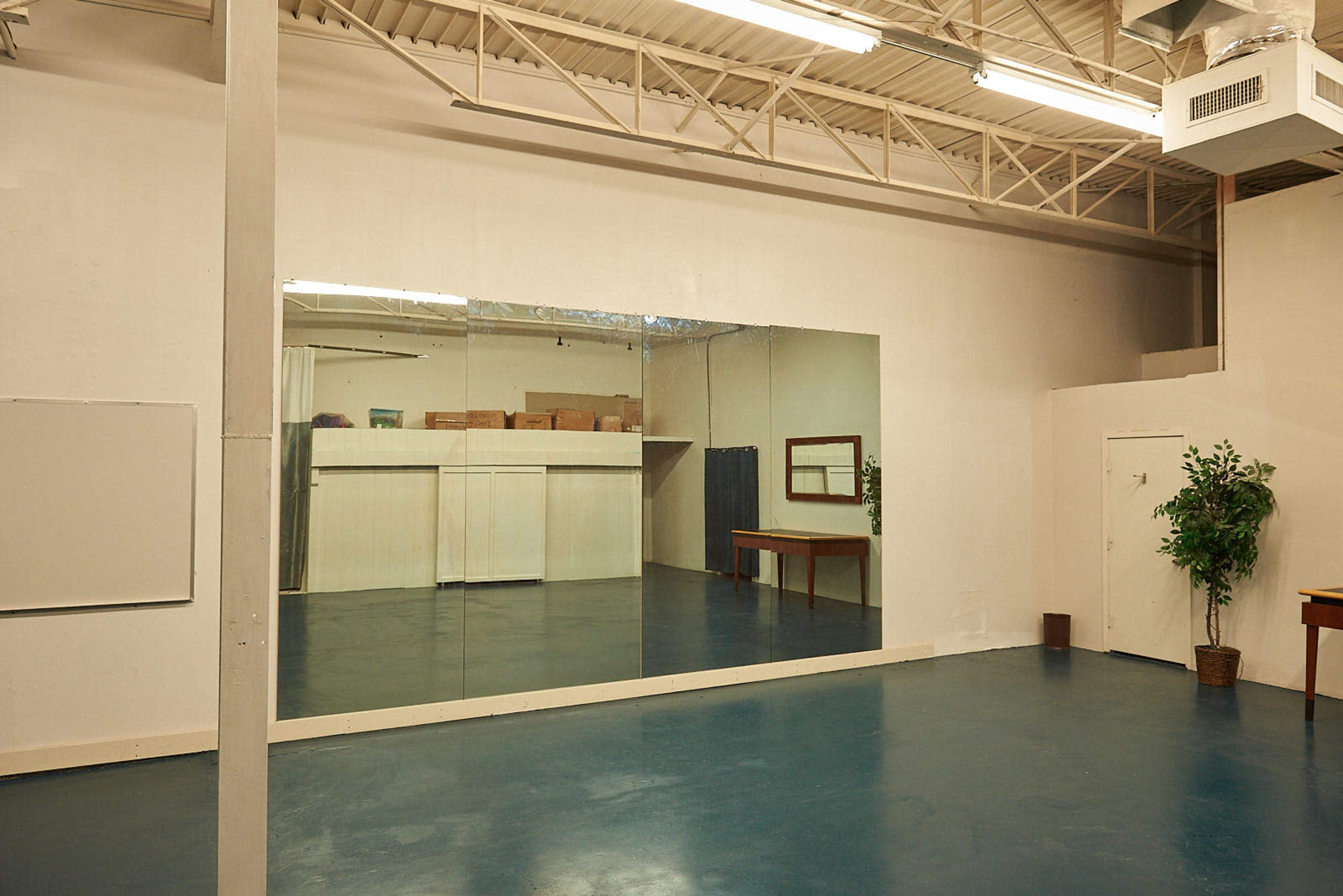 A spacious room with a large mirror on one wall, a table, and a plant in the corner.