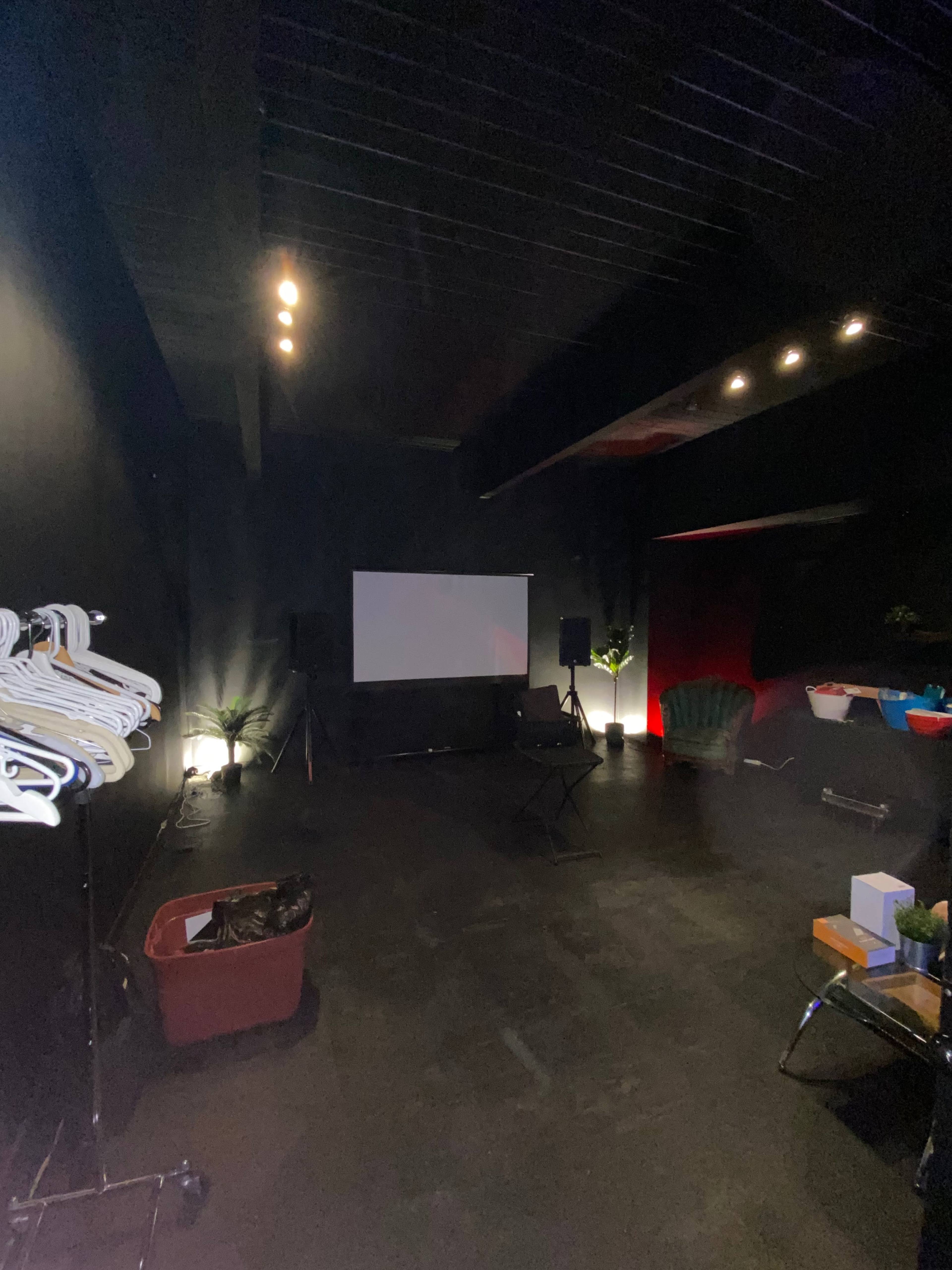 A dimly lit room with a blank projection screen, speaker stands, various furniture, and some hanging clothes on a rack.