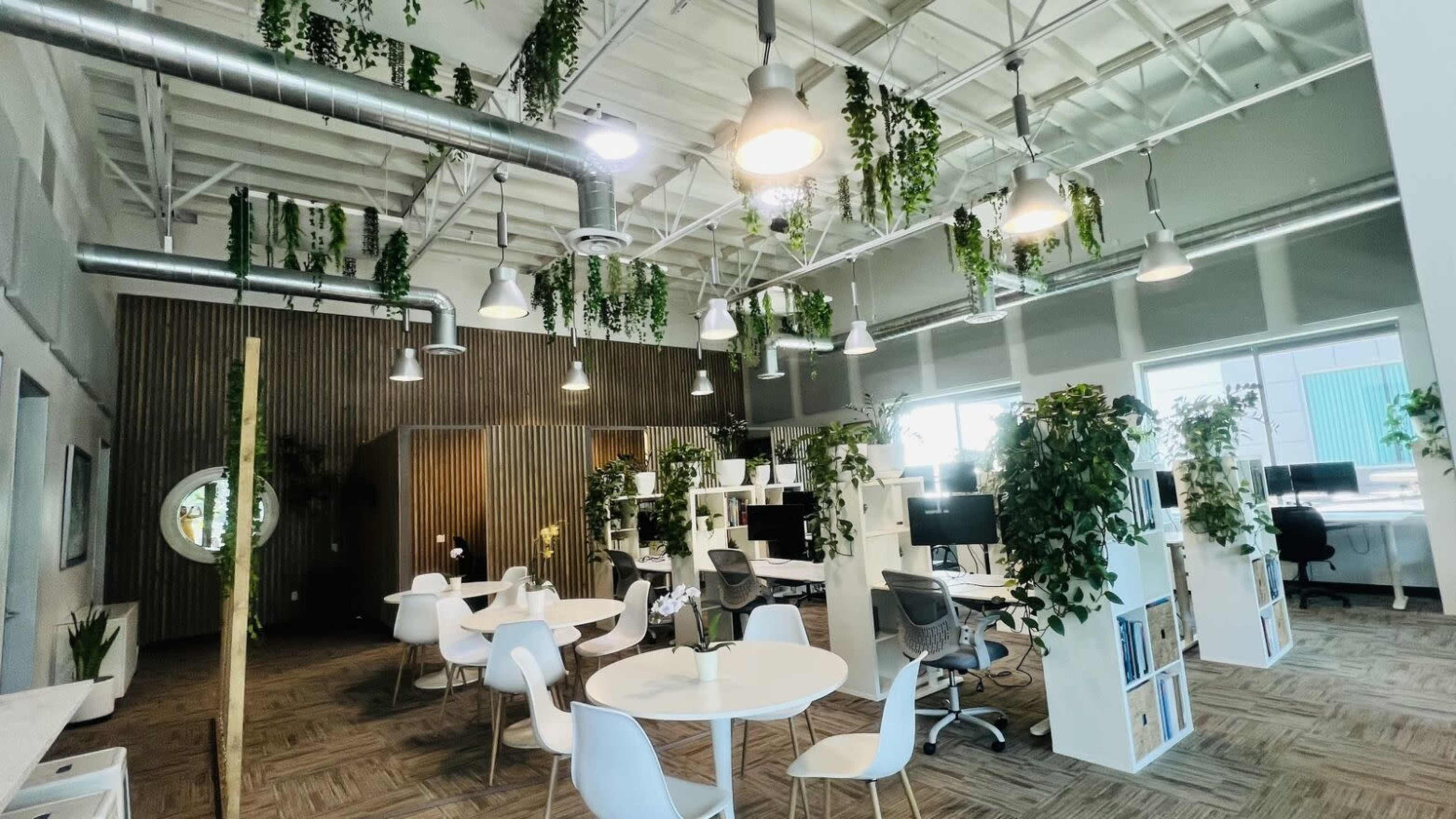 A modern office space with white furniture, greenery hanging from the ceiling, and workstations arranged around a central seating area.