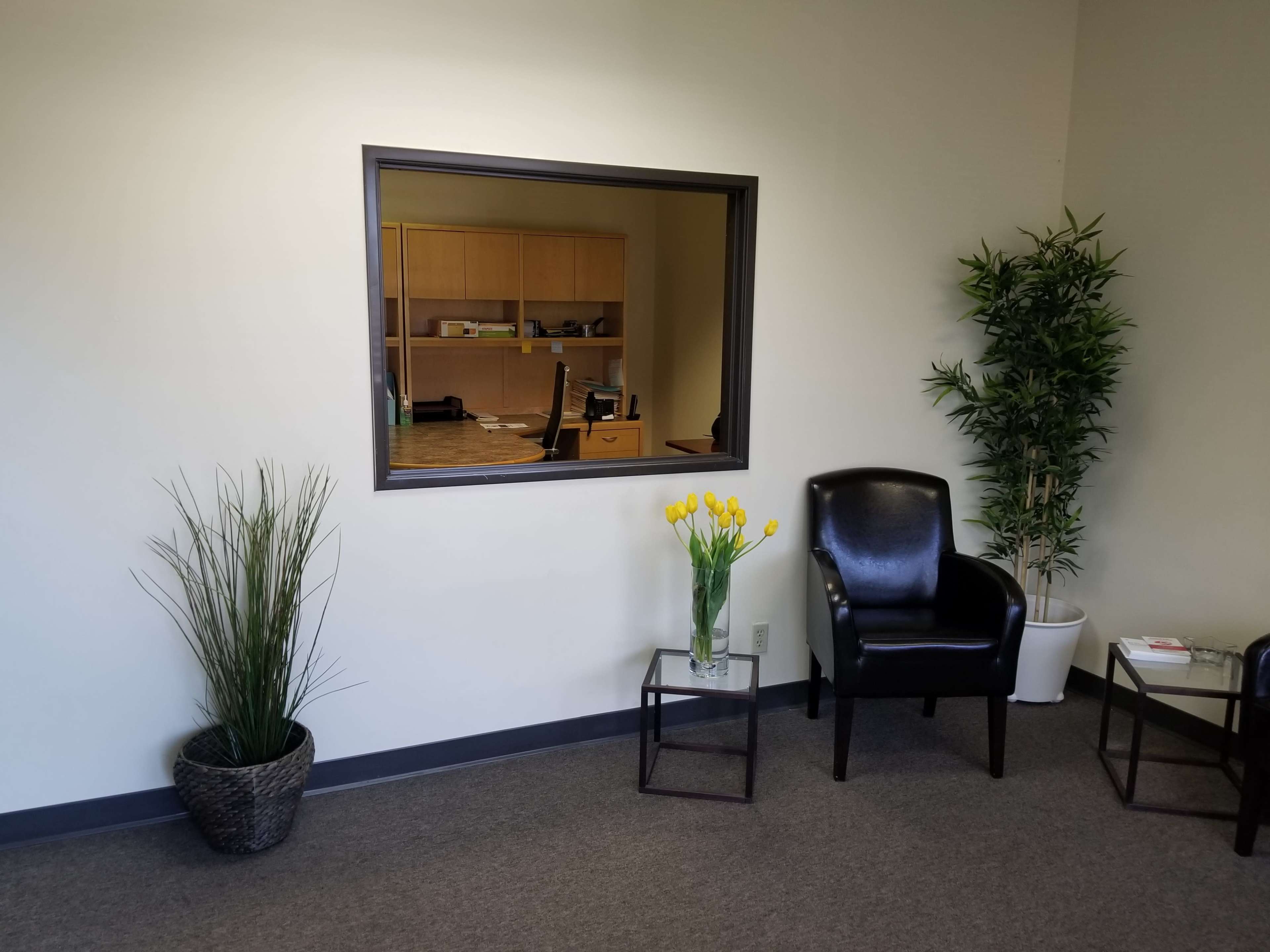 A waiting area features two black chairs, a small side table, potted plants, and a large window revealing an office behind it.