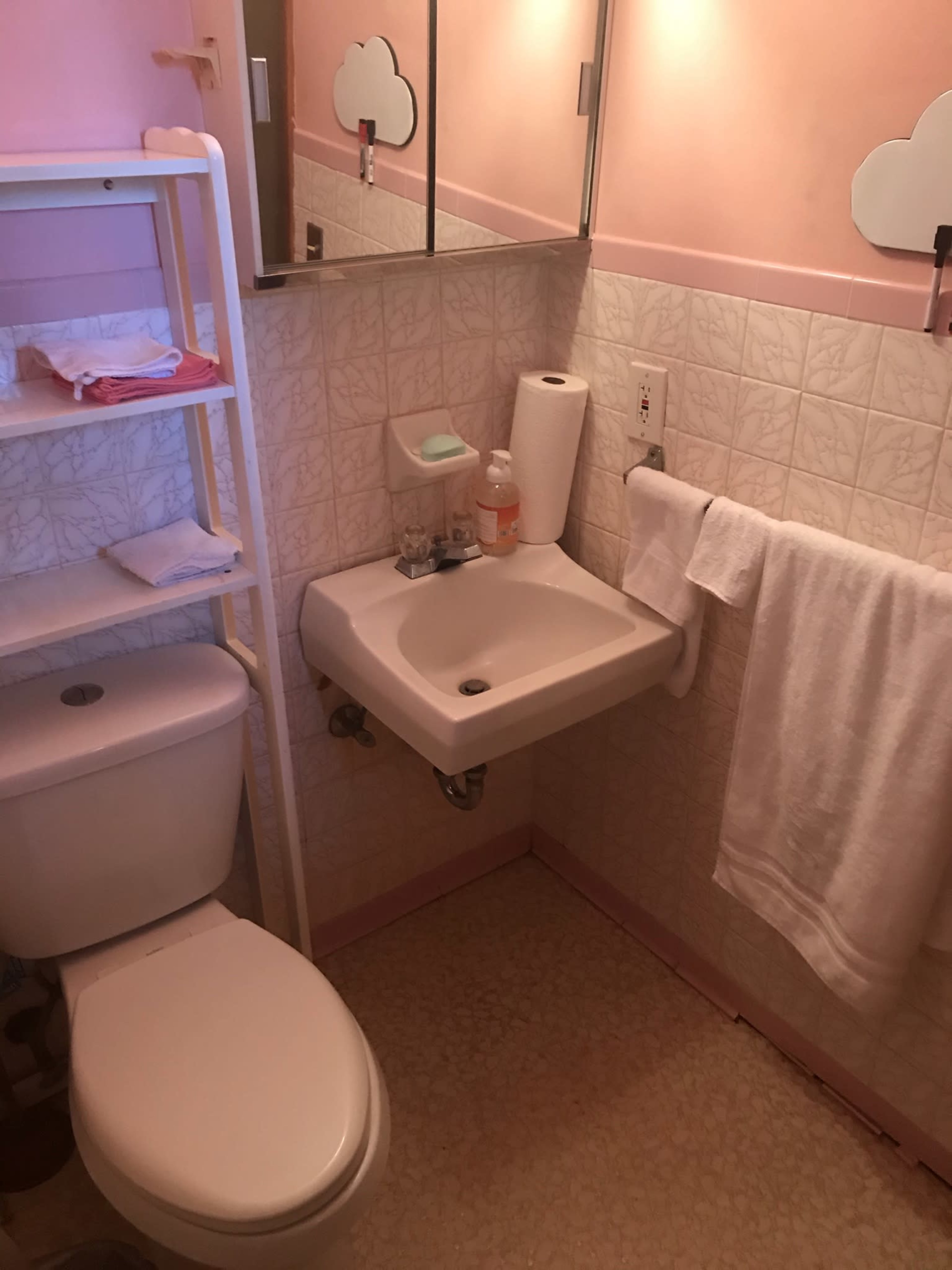 A small pink bathroom with a toilet, a wall-mounted sink, and shelves containing towels and toiletries.