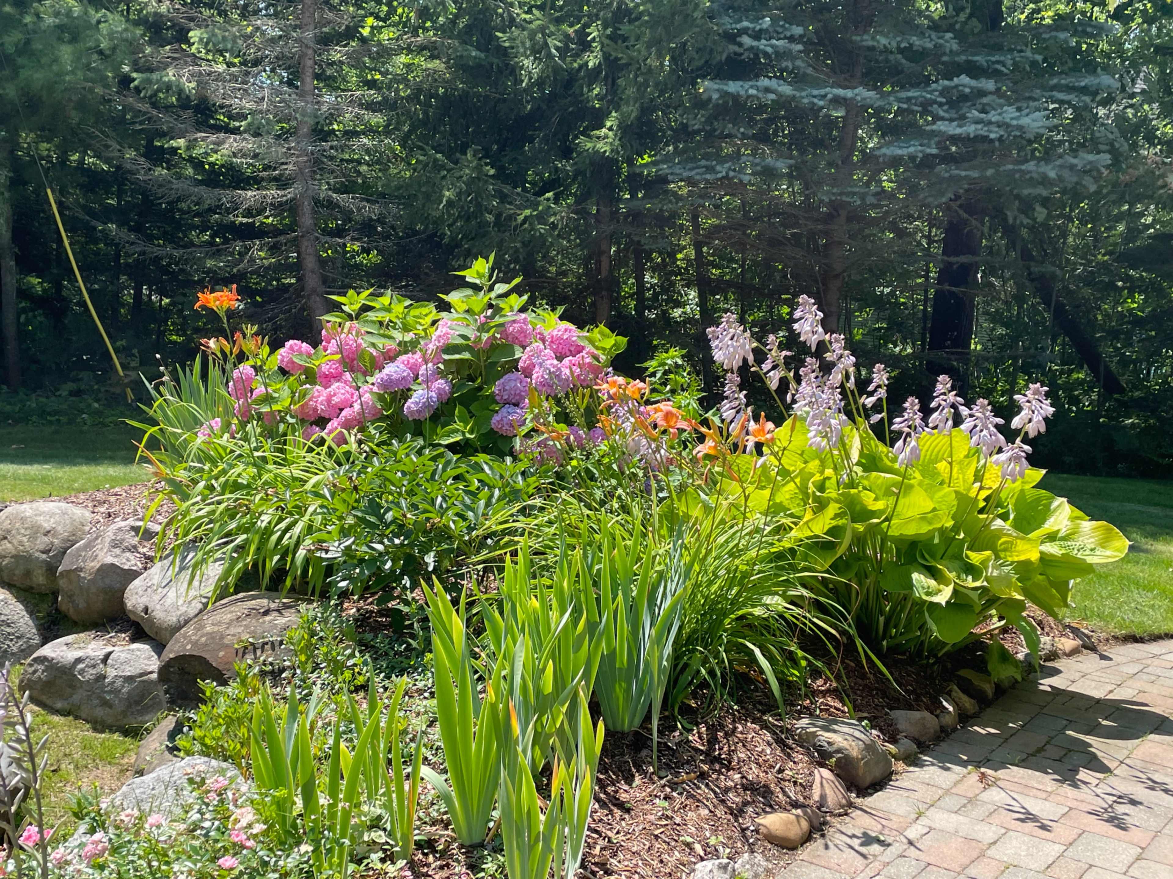 A vibrant garden featuring a variety of flowers and plants, including pink hydrangeas, orange lilies, and purple blooms, surrounded by rocks and a paved pathway.