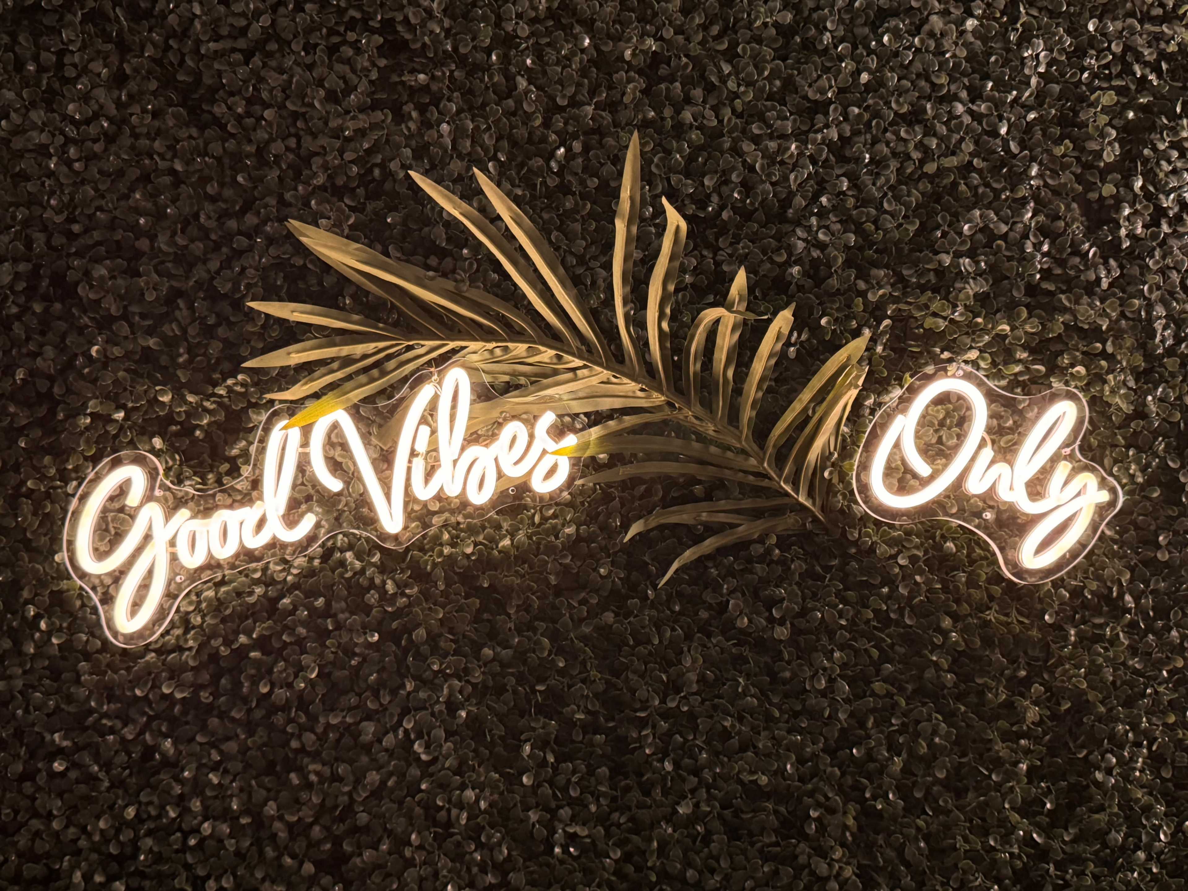 The image features a neon sign that reads "Good Vibes Only," accompanied by a decorative leaf, against a dark, textured background.