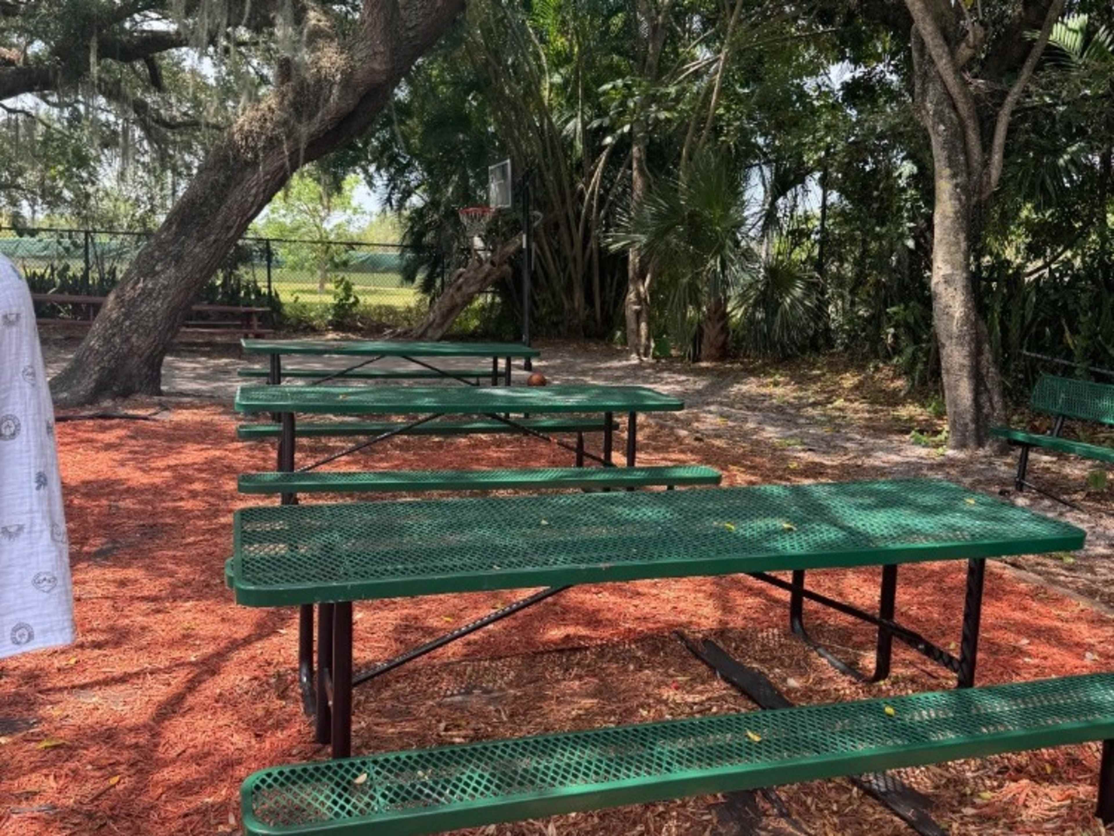 Outdoor Area