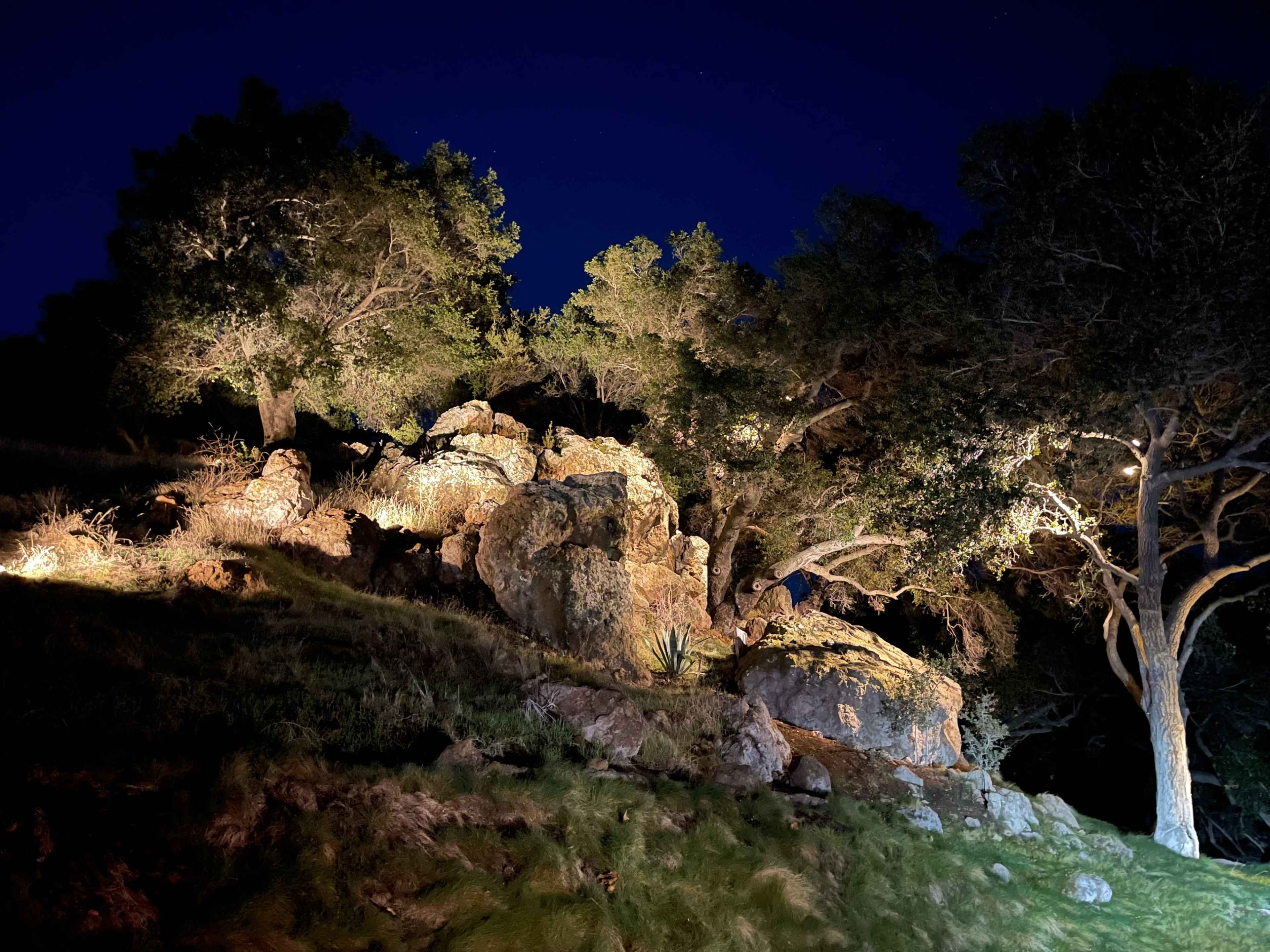 A hillside at night illuminated by lights that highlight large rocks and surrounding trees.