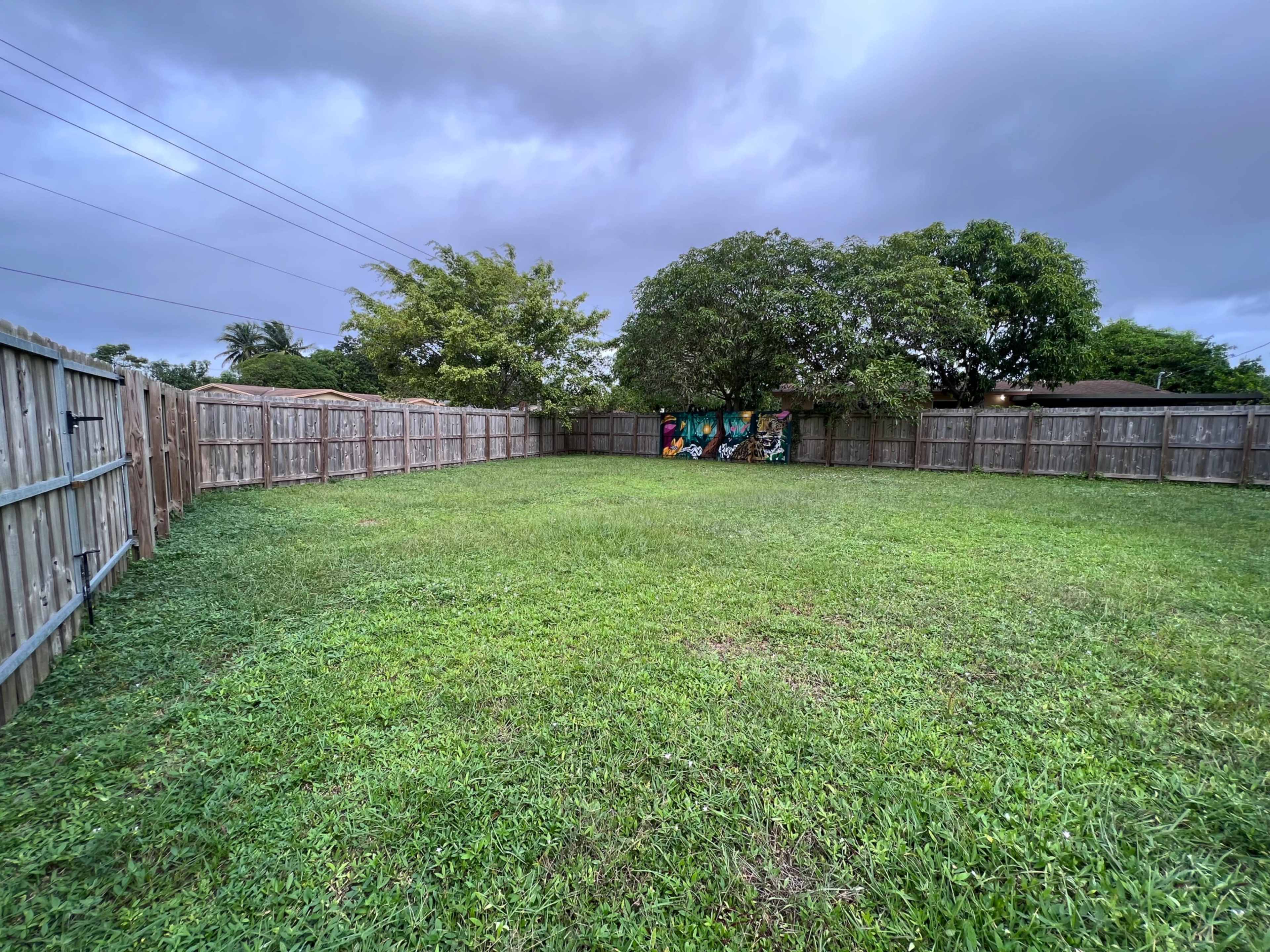 The image shows a large grassy yard enclosed by wooden fencing, with a mural visible on one of the fences and overcast skies above.