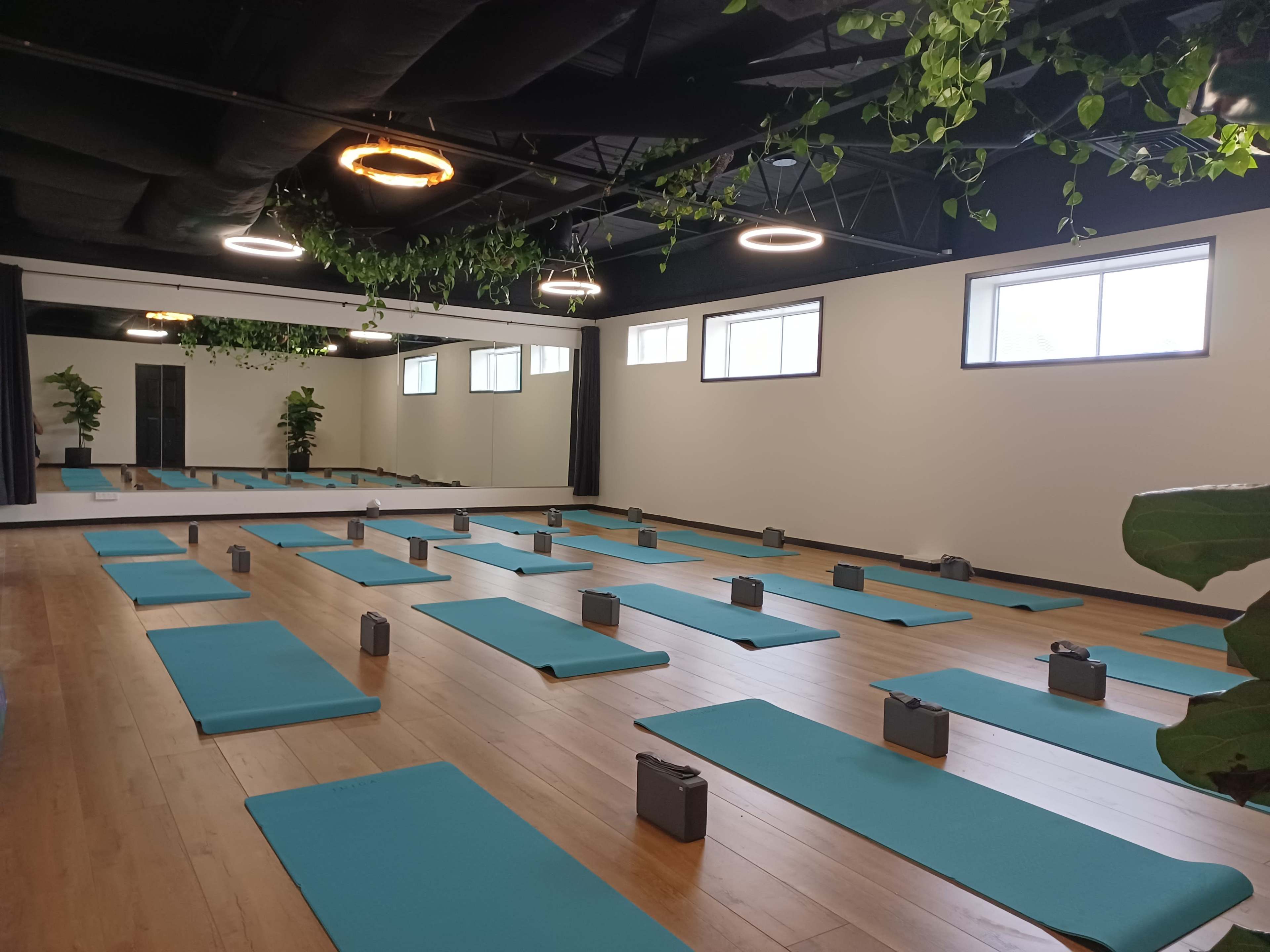 A yoga studio with neatly arranged blue mats and gray weights on a wooden floor, surrounded by greenery and mirrors.