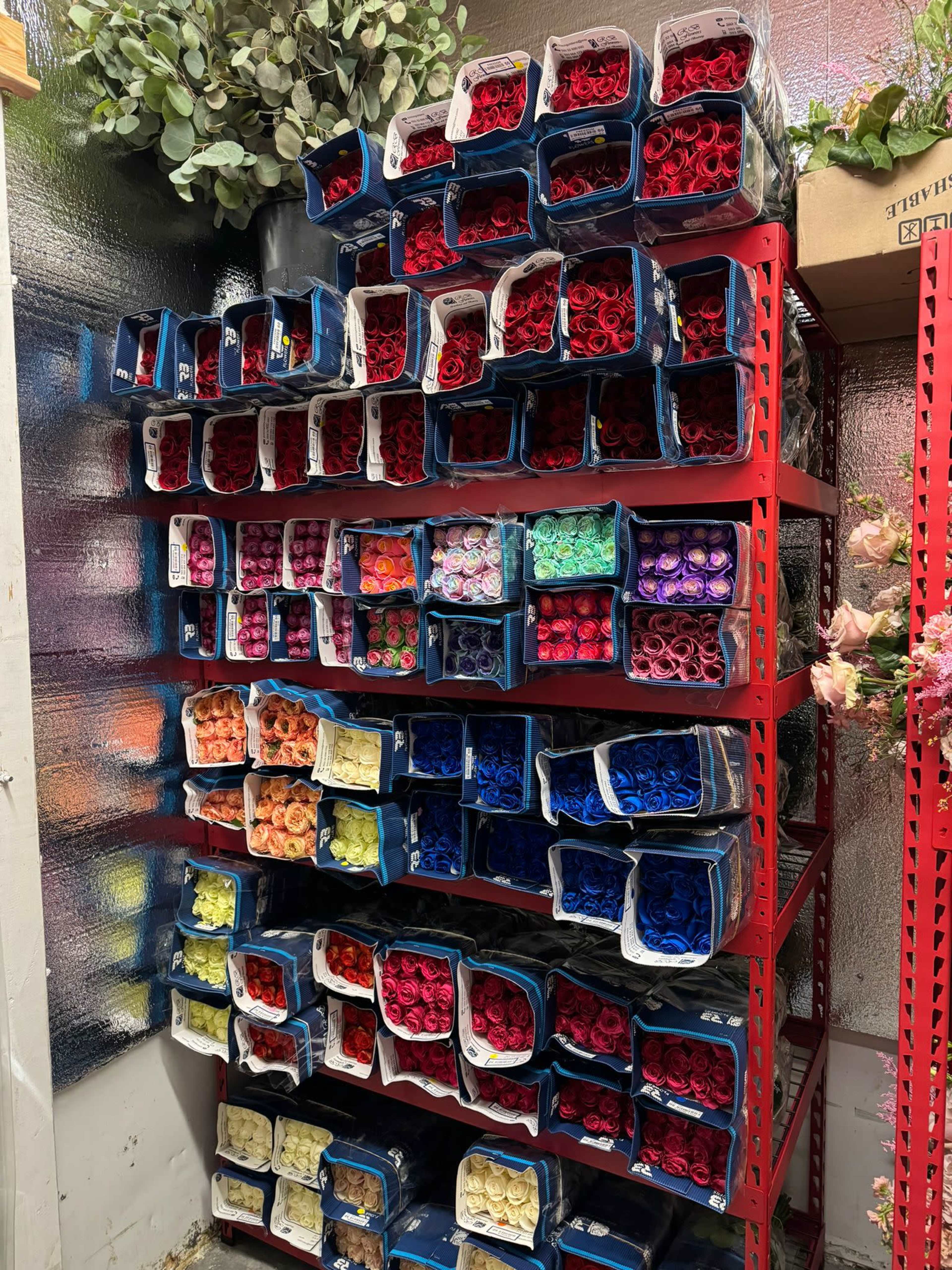 Florist Flex space with lots of space and walk-in cooler Image in Hialeah, HIALEAH, FL