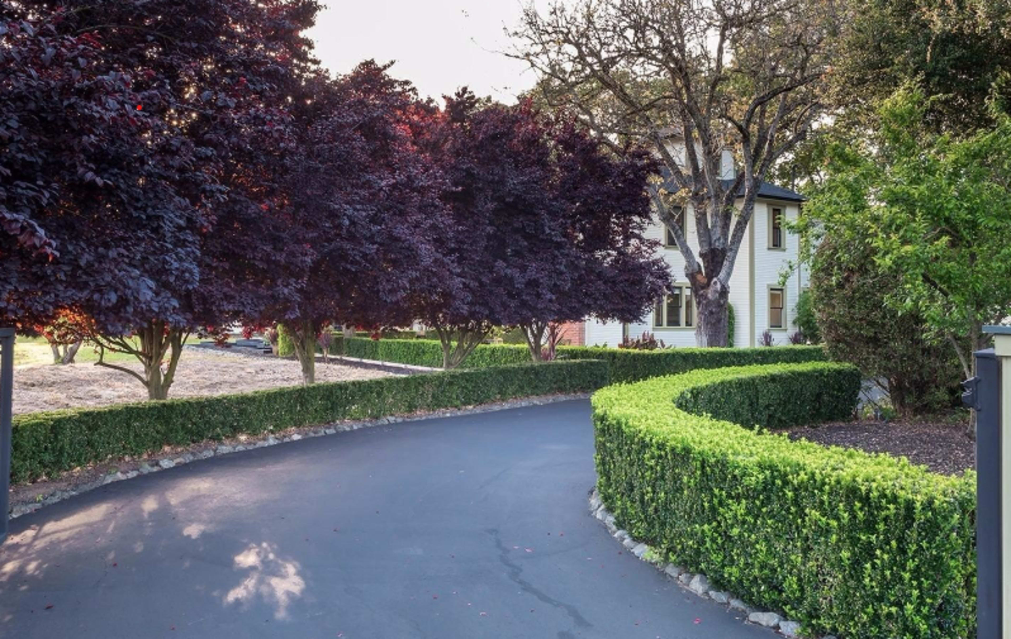 A neatly landscaped driveway lined with hedges and trees leading to a white house.