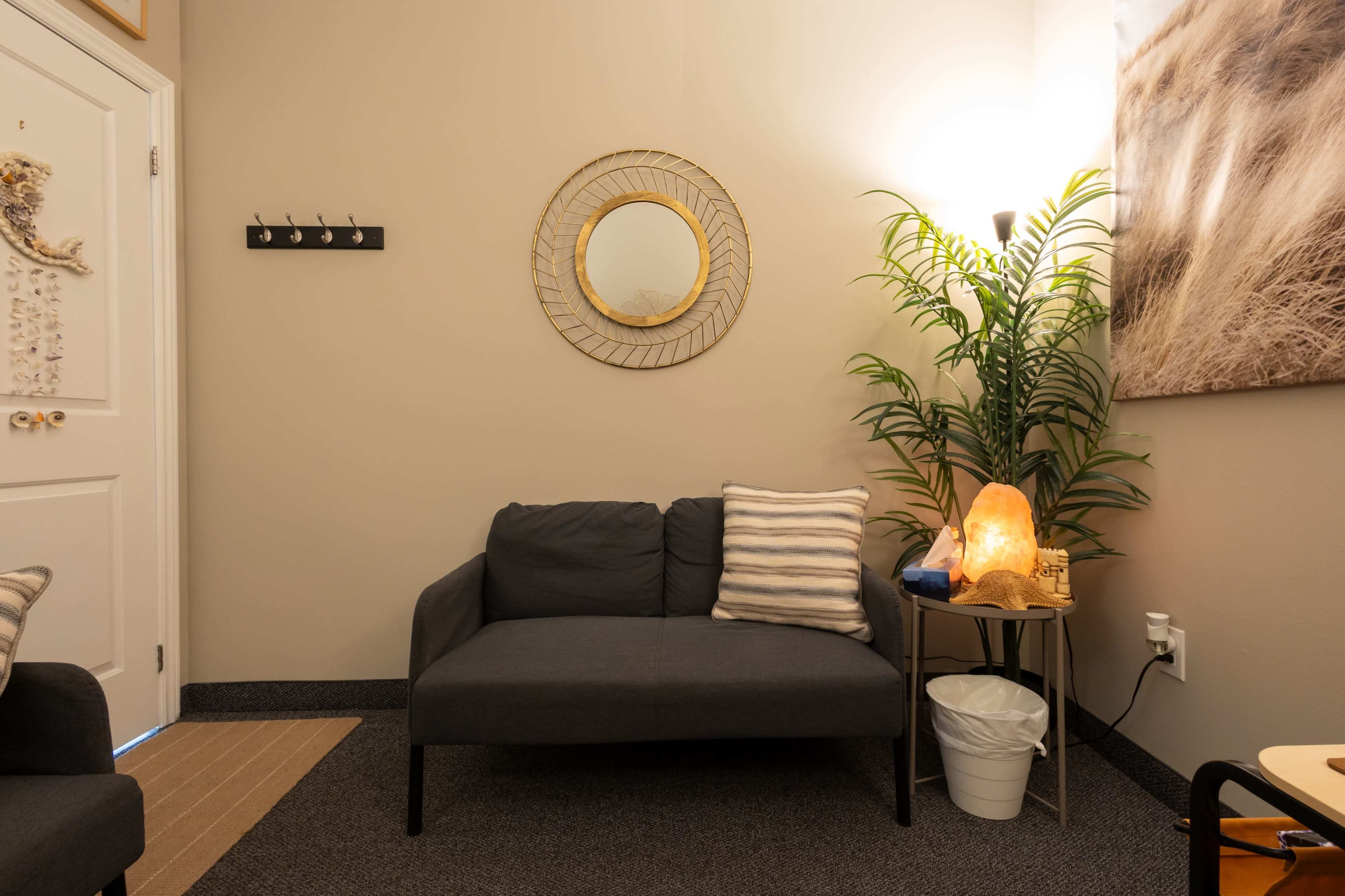 The image shows a small, well-lit room with a dark sofa, a decorative mirror on the wall, a potted plant, and a salt lamp on a side table.
