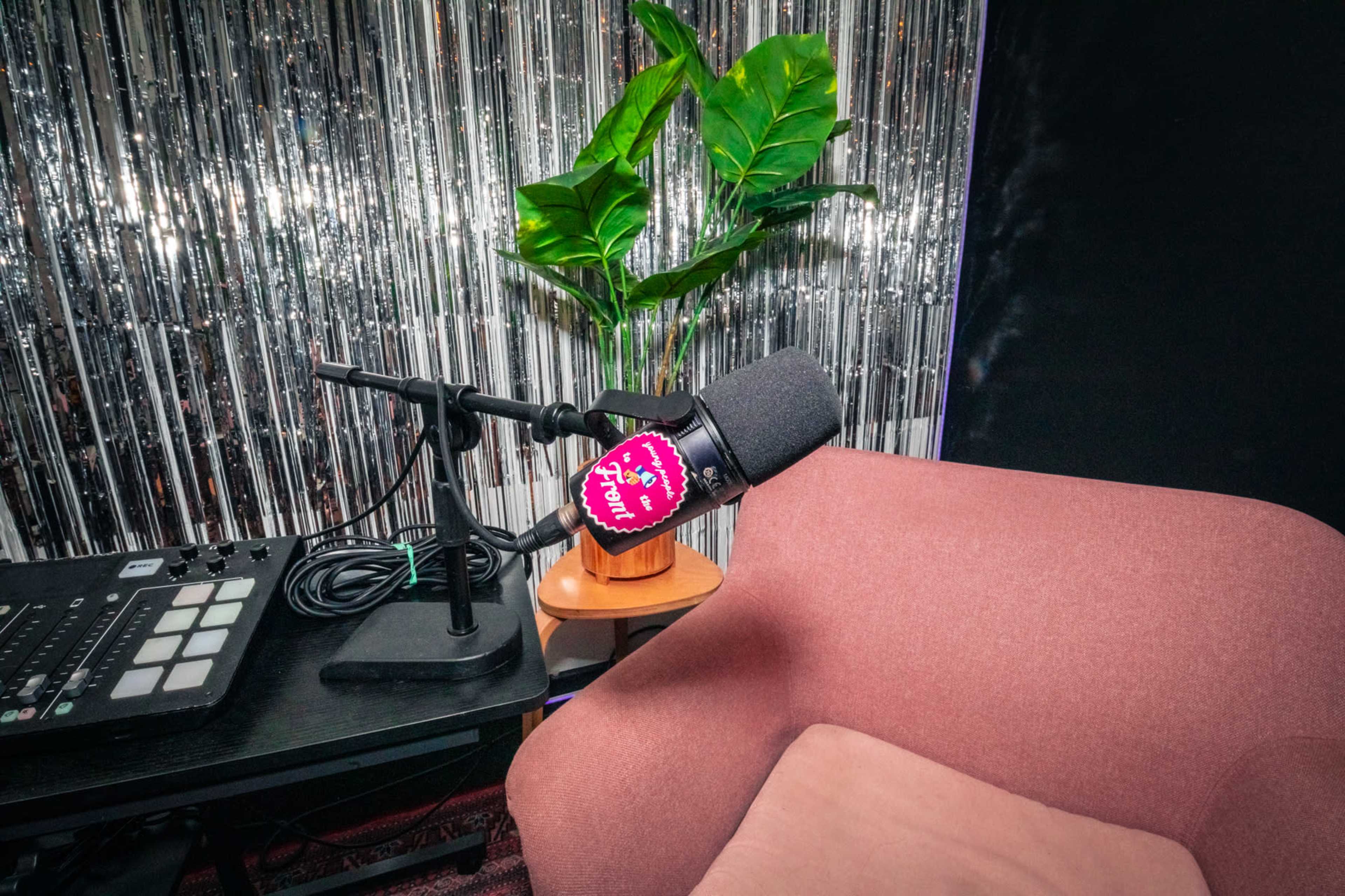 A microphone is positioned on a stand near a pink chair, with a plant and a decorative background featuring shiny vertical strips.