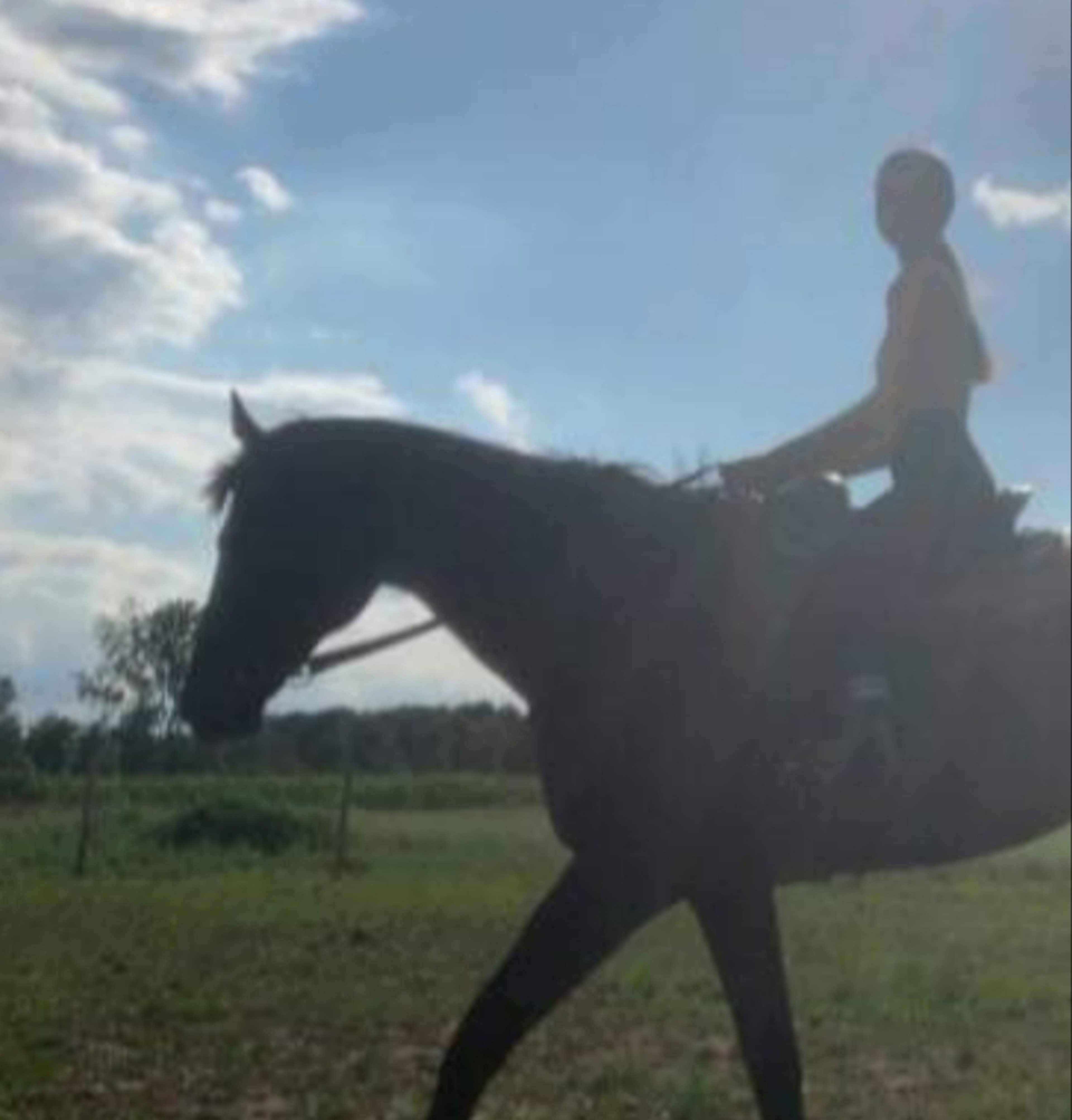 A person rides a horse in an open field under a partially cloudy sky.