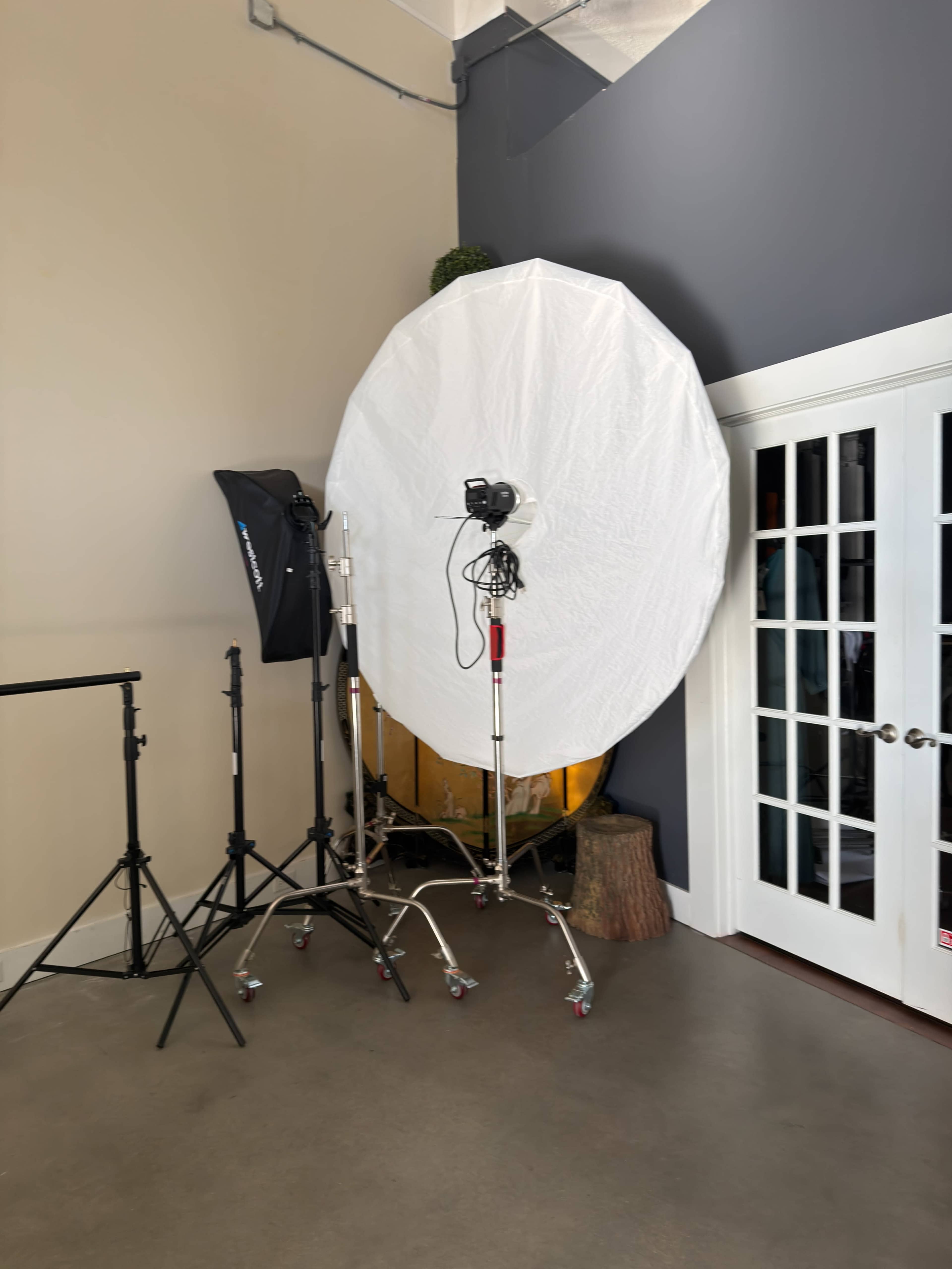 A large, round softbox is set up on rolling stands in a room with a gray wall and glass-paned doors.
