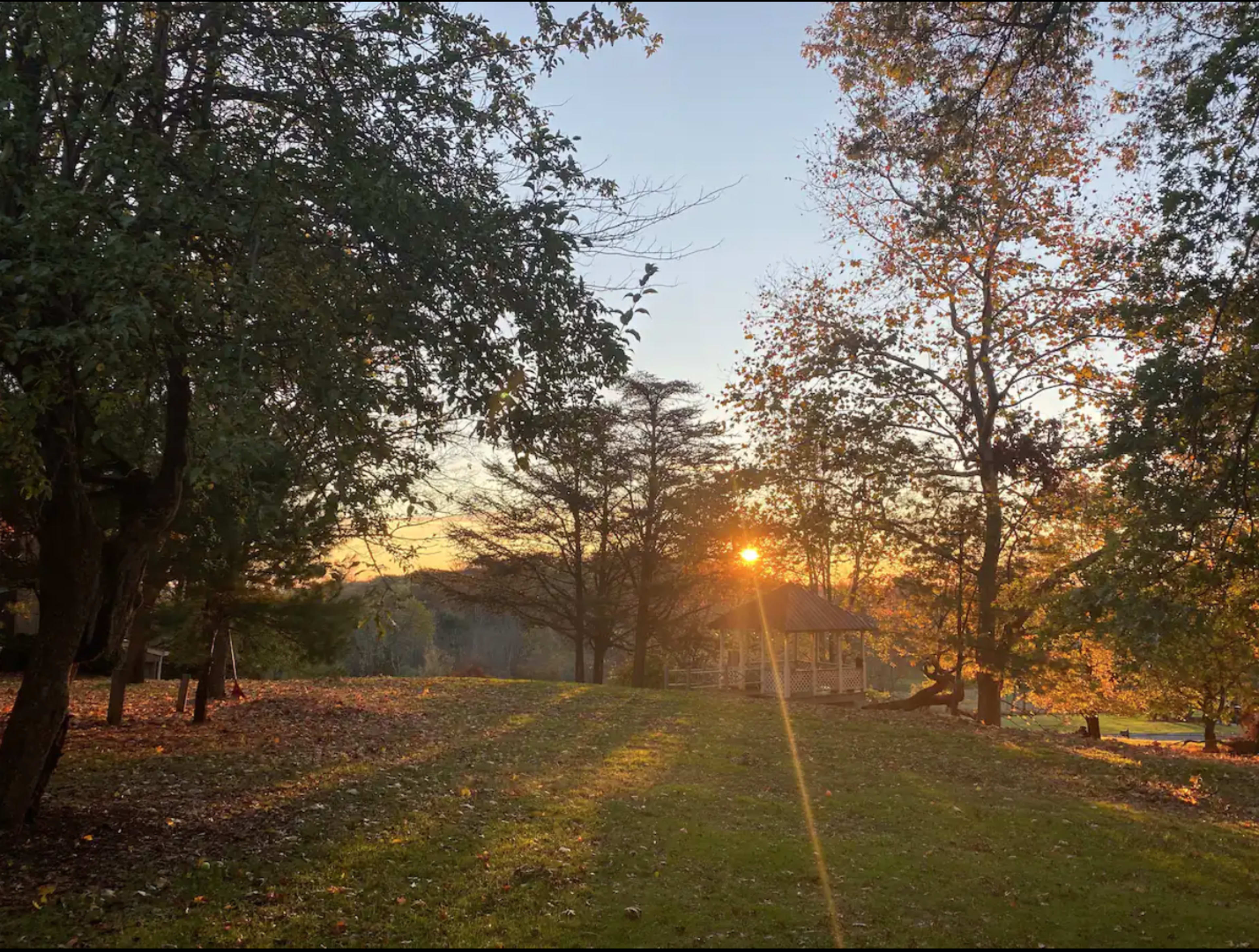 The sun sets behind a cluster of trees in a grassy area, casting long shadows and illuminating a distant structure.