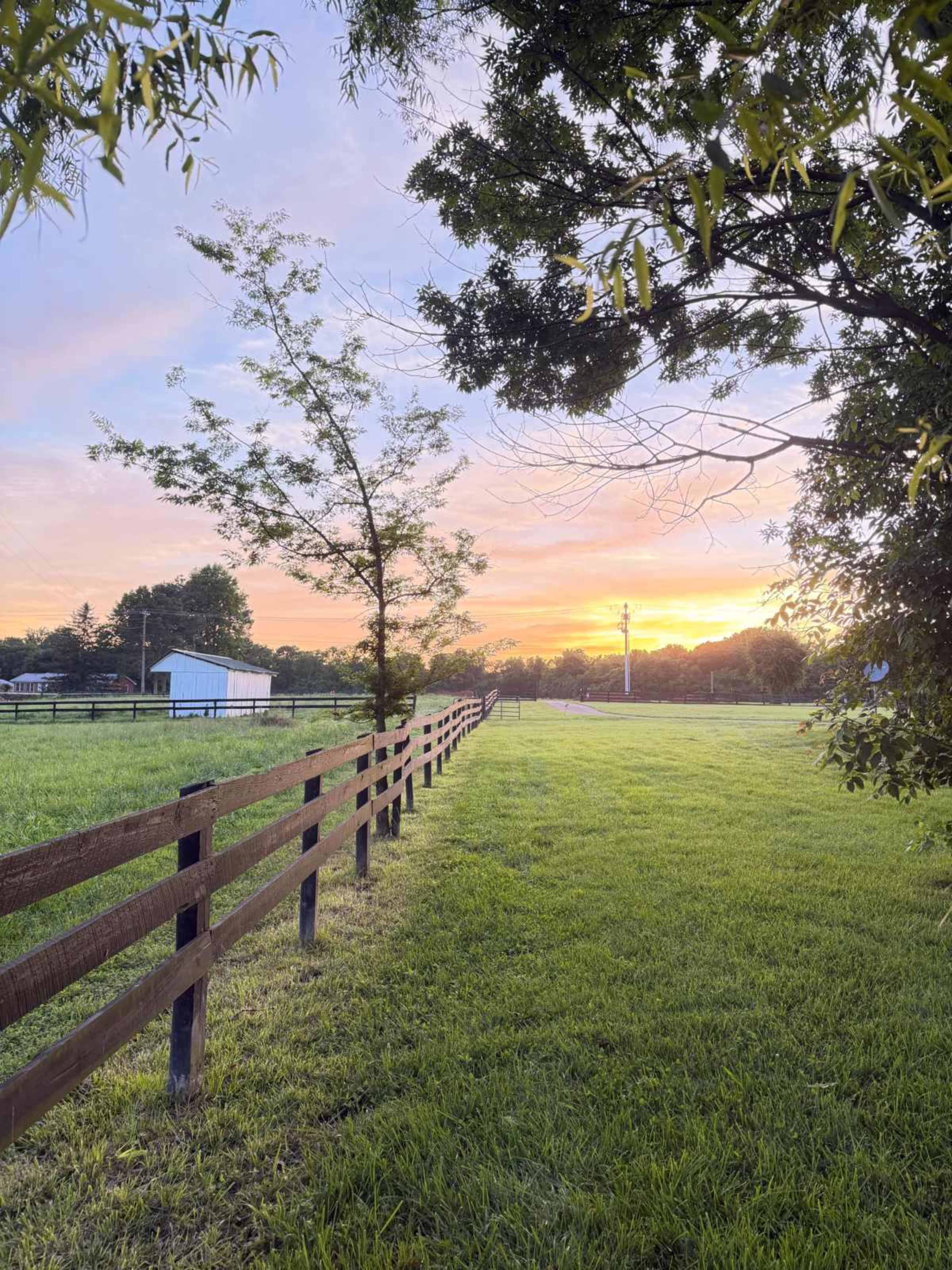14-acre working farm in Williamson County | Golden light, open pastures, beautiful stables, animals, farmhouse aesthetic | 30 min from Nashville Image in , Franklin, TN