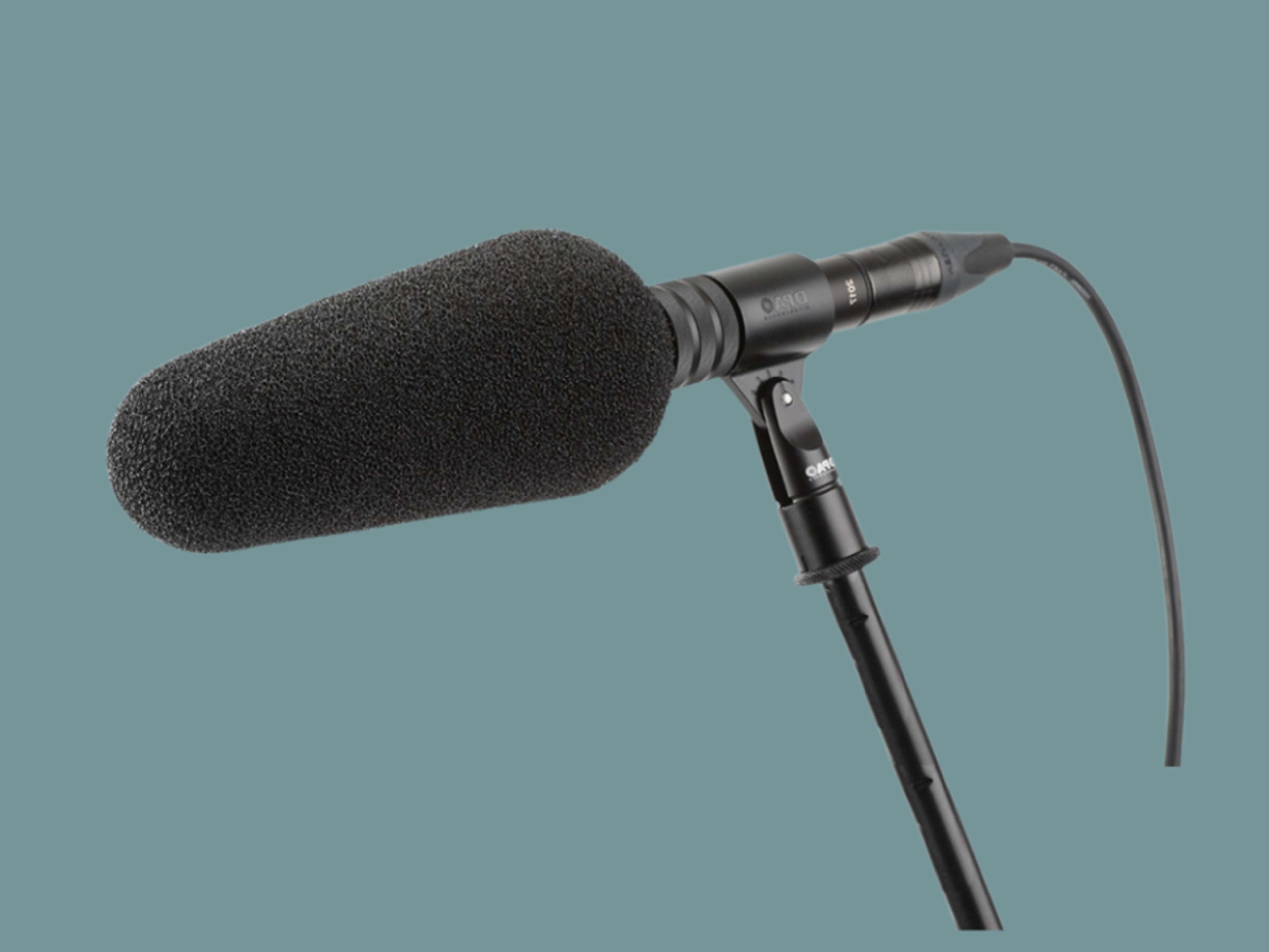 Boom Microphone