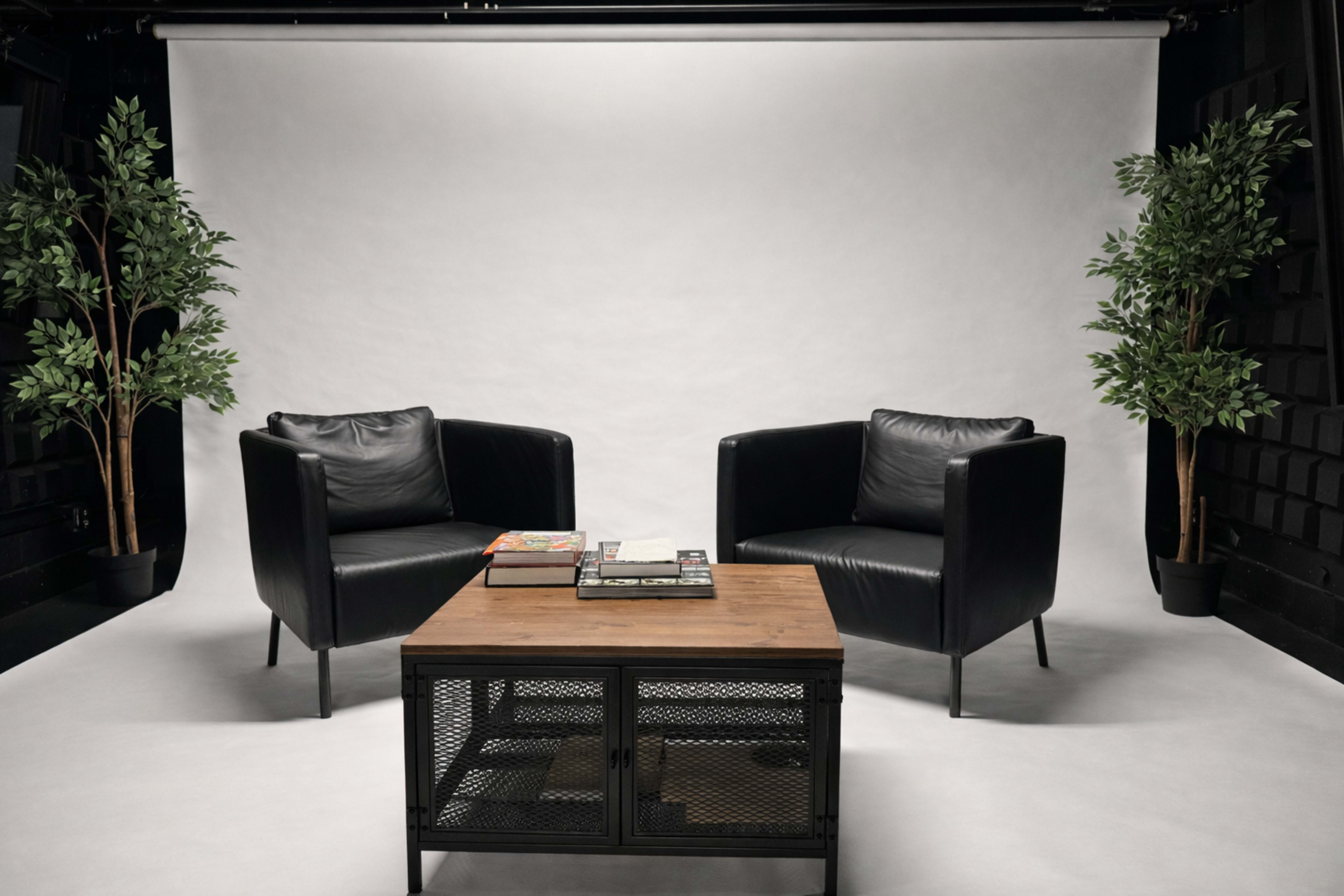 The image shows two black leather armchairs facing each other across a wooden coffee table, with potted green plants beside them, set against a plain white backdrop.