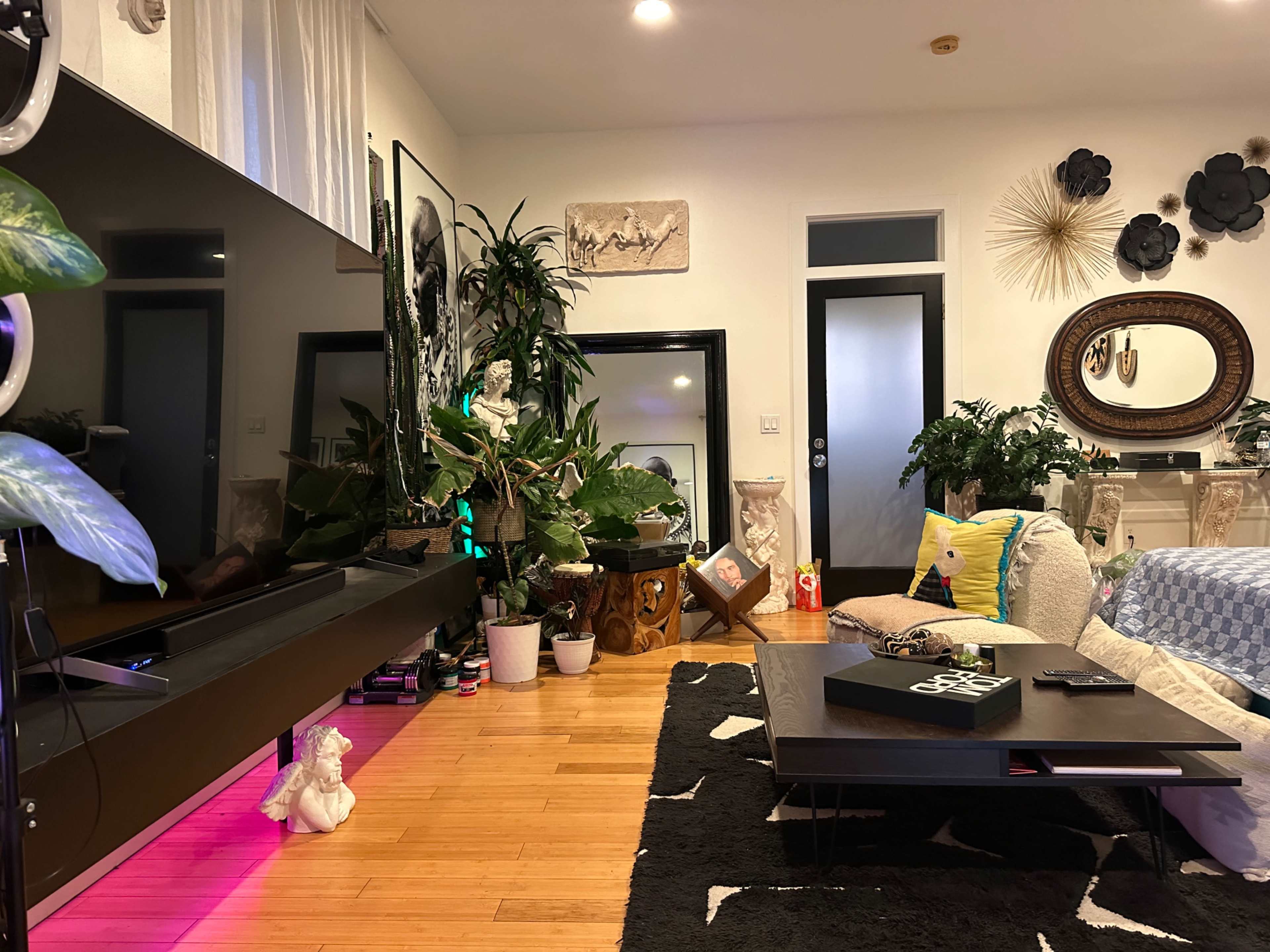 The image shows a well-decorated living room with a large television, a coffee table, various plants, and decorative wall art.
