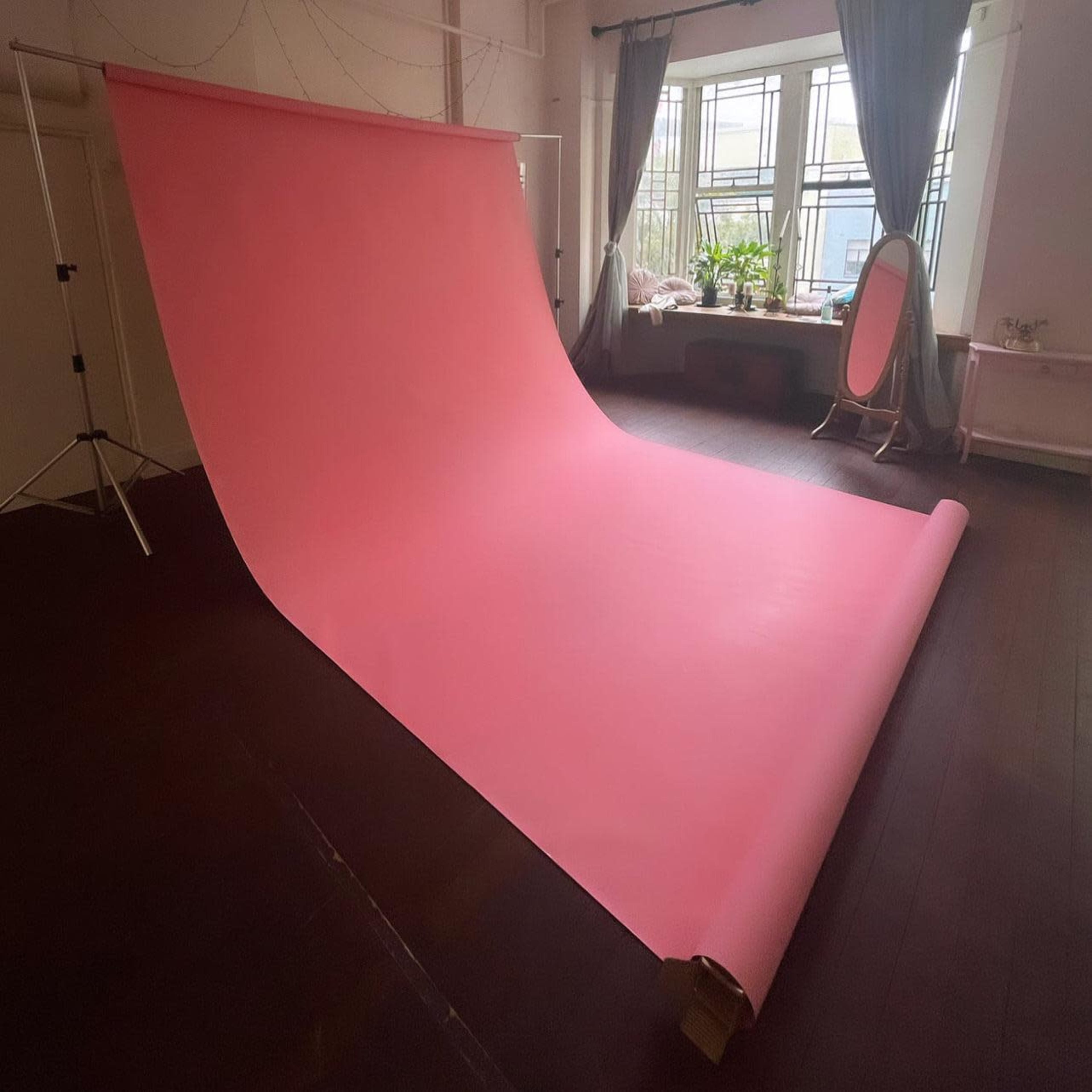 A large pink backdrop is rolled out on a wooden floor in a bright, airy room with windows and plants.