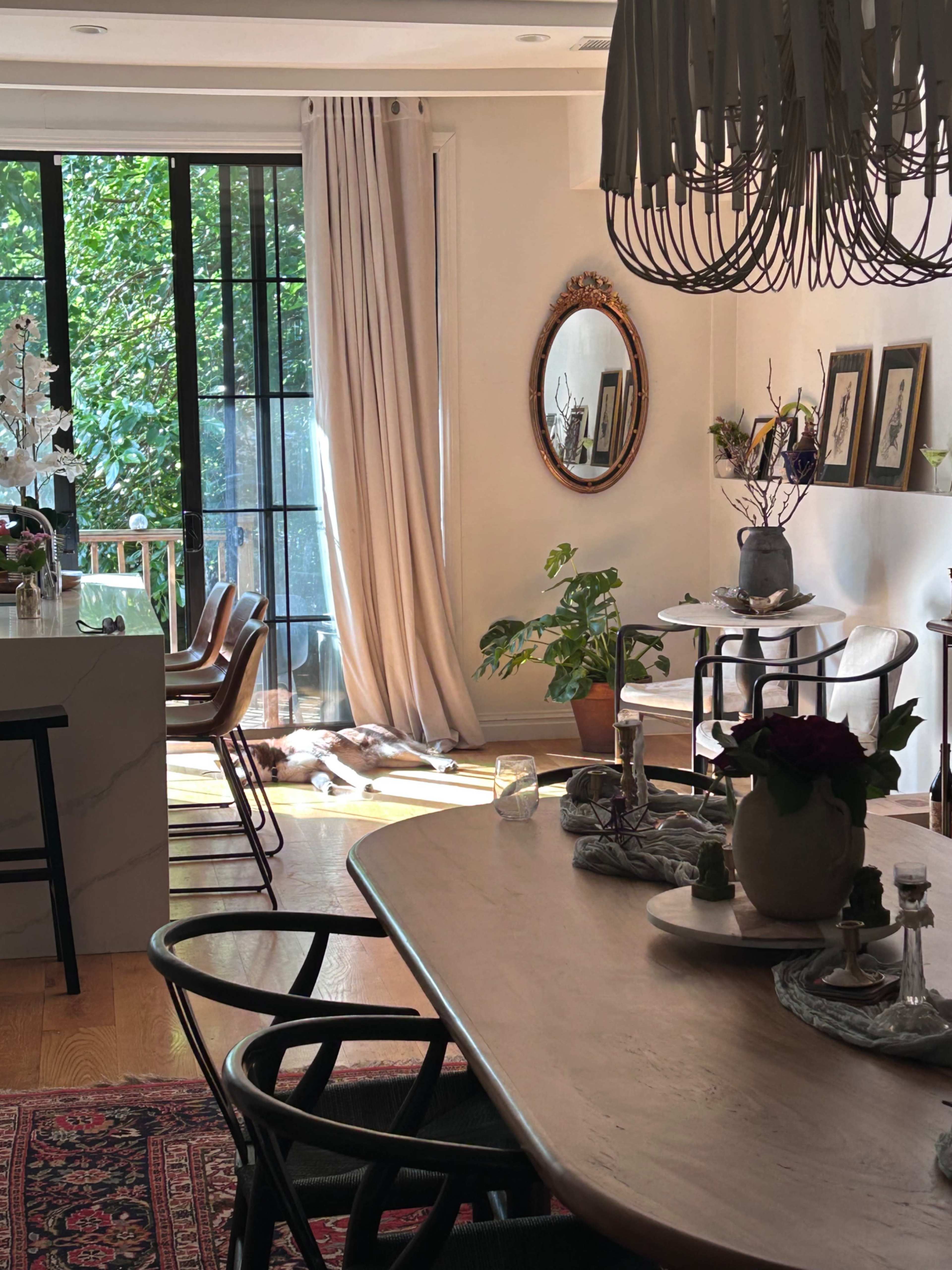 A spacious, sunlit dining area features a wooden table, chairs, plants, and a large window with flowing curtains, while a dog lies on the floor in a warm patch of light.
