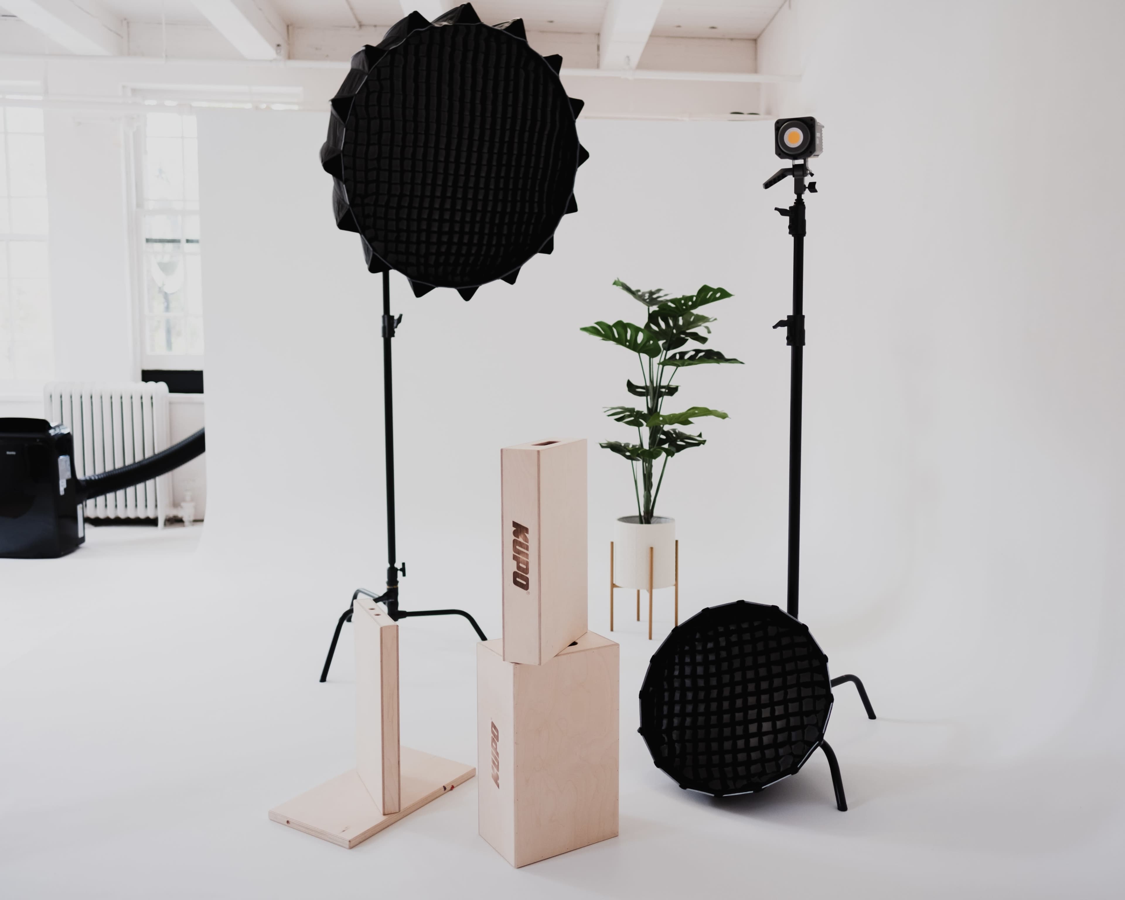A photography studio featuring lighting equipment, wooden blocks, and a potted plant against a white backdrop.